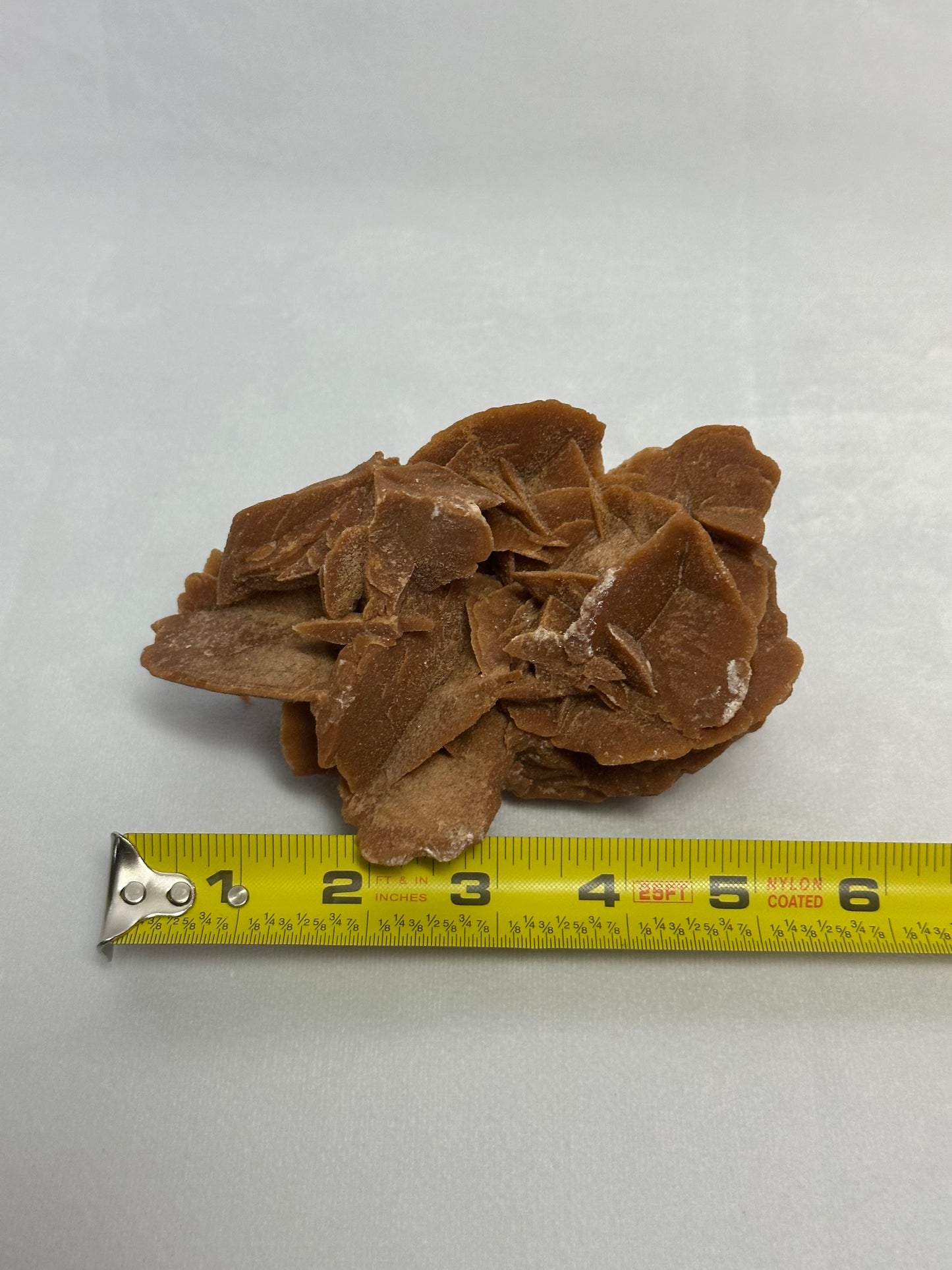 Desert Rose Cluster