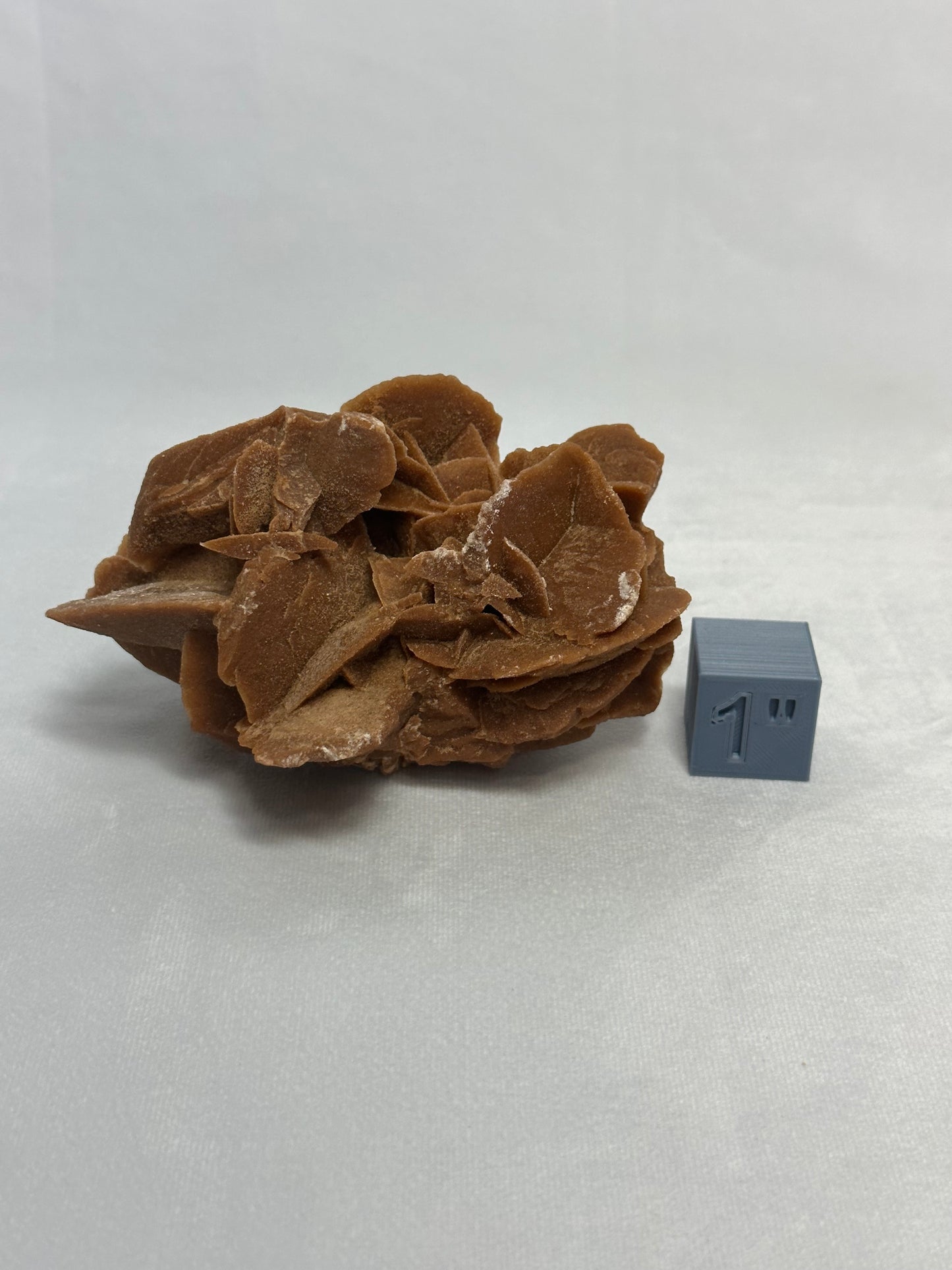 Desert Rose Cluster
