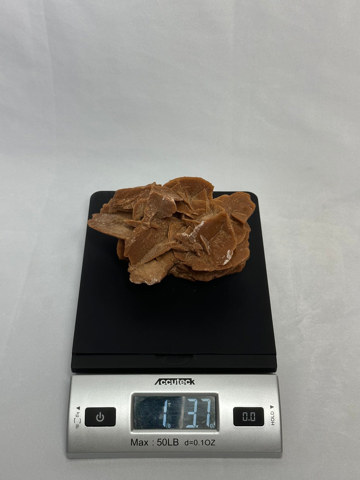 Desert Rose Cluster