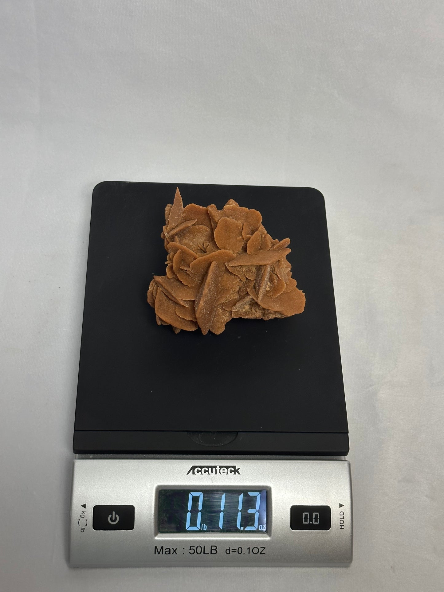 Bladed Desert Rose