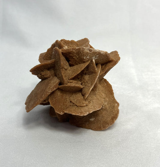 Simple Desert Rose