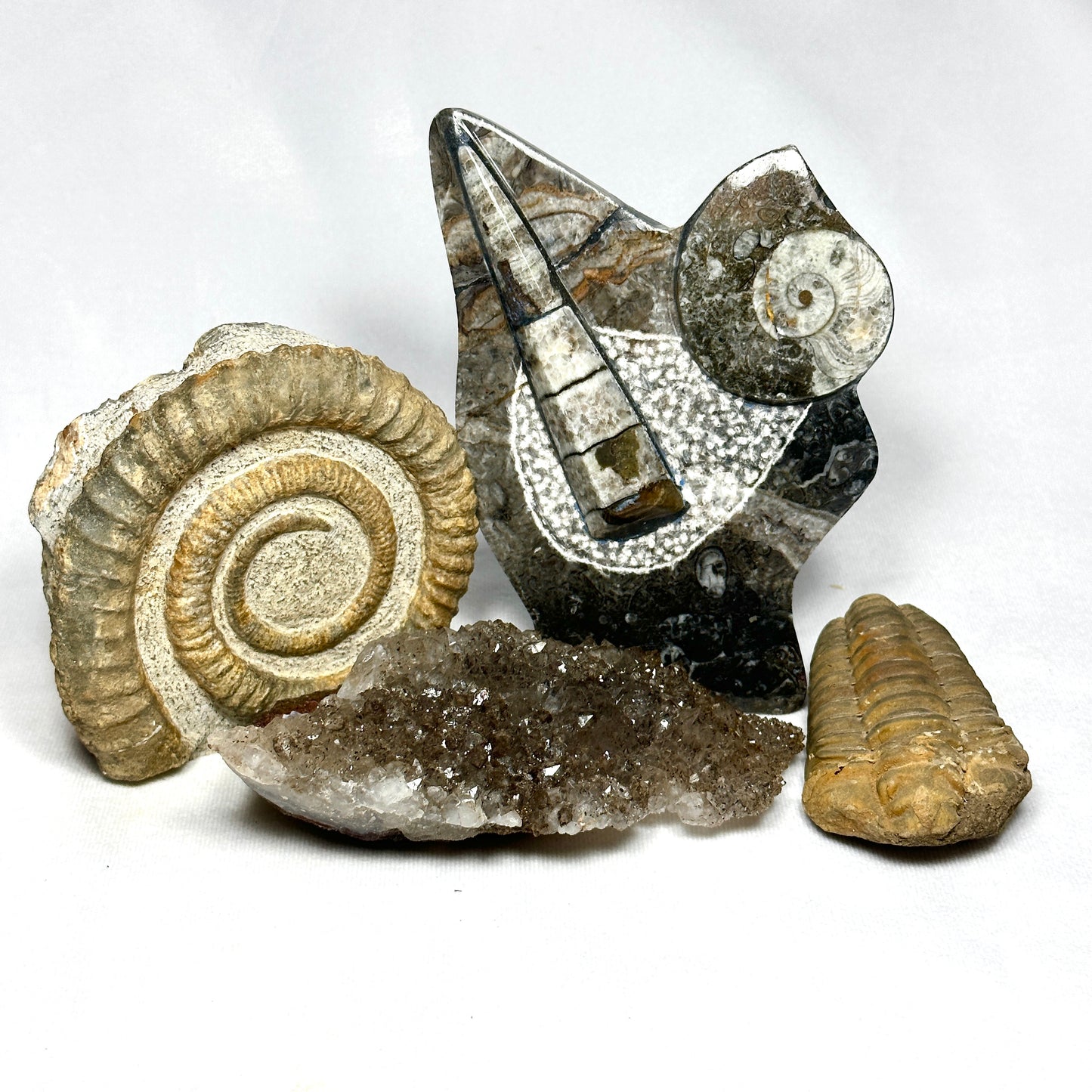 Beautiful Manganese Geode