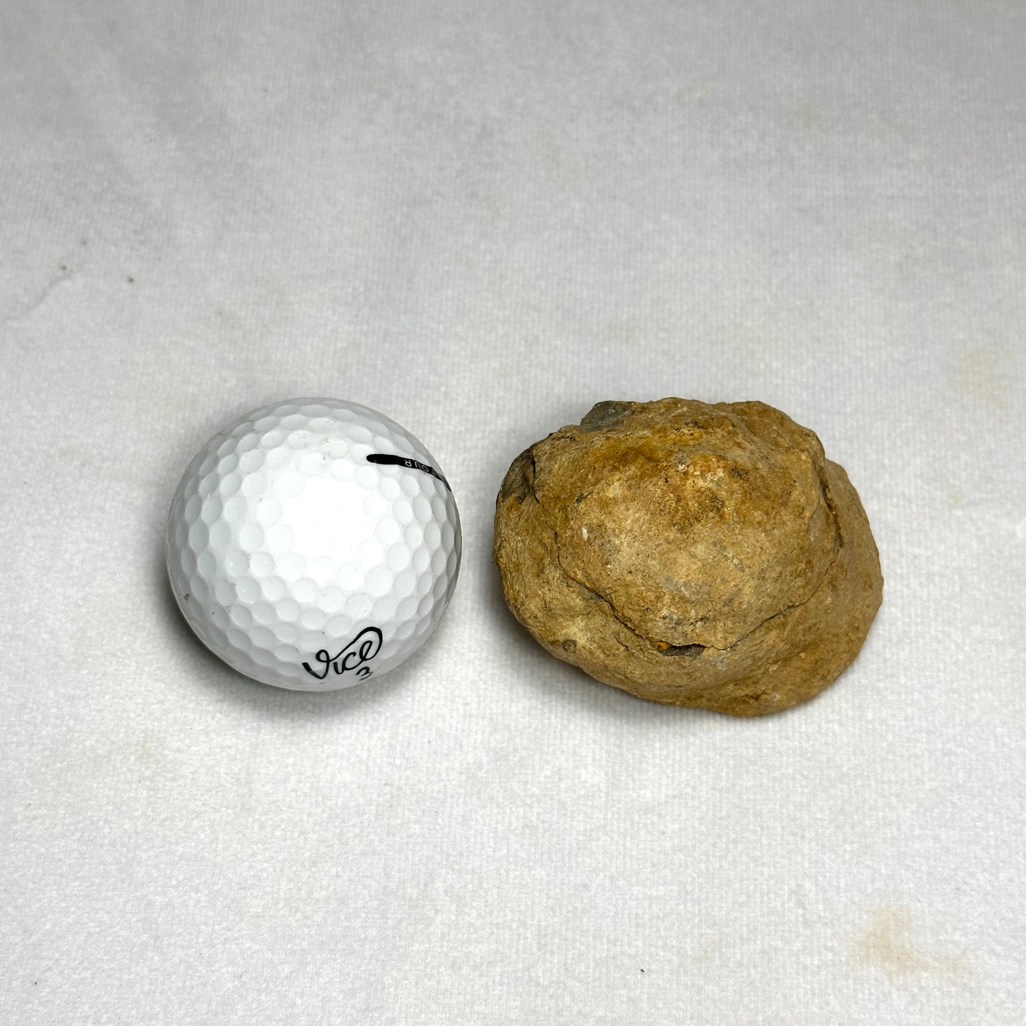 Flexicalymene Trilobite Nodule 2.3"