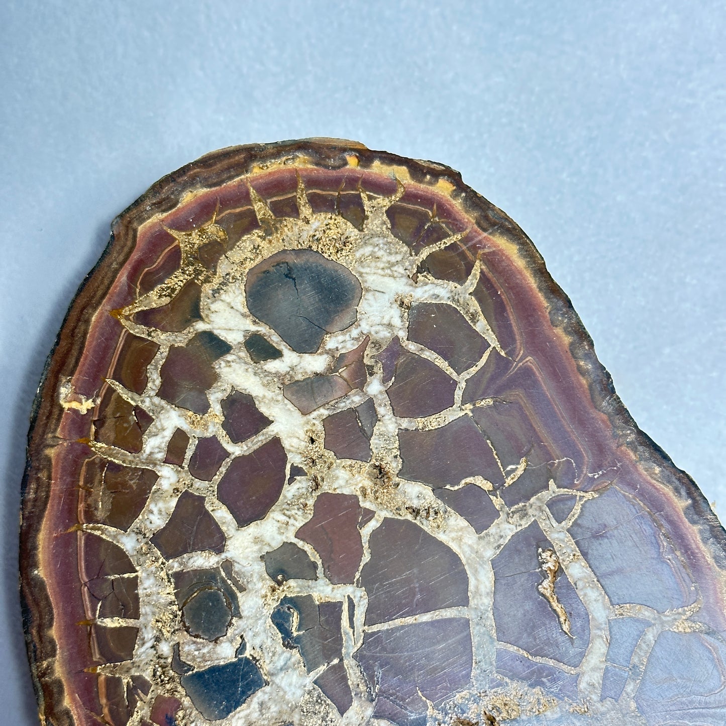 Moroccan Split Septarian Nodule