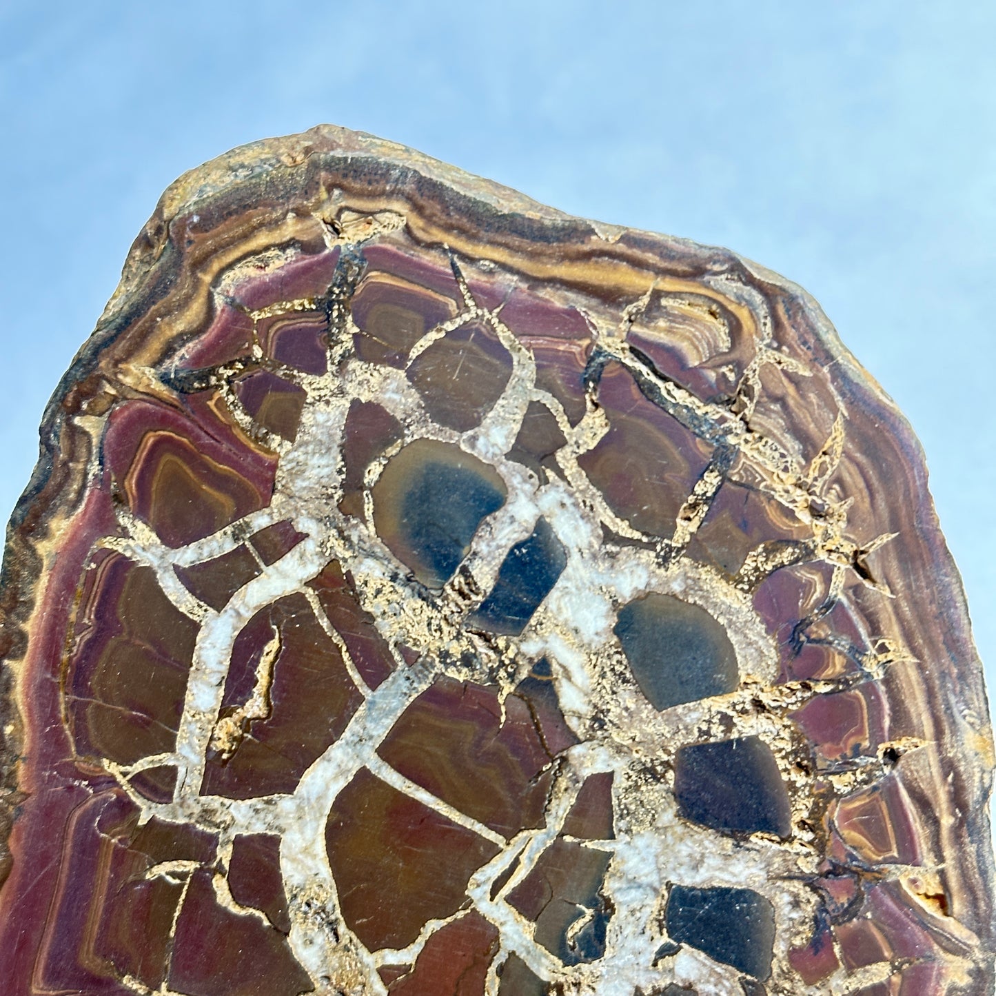 Moroccan Split Septarian Nodule
