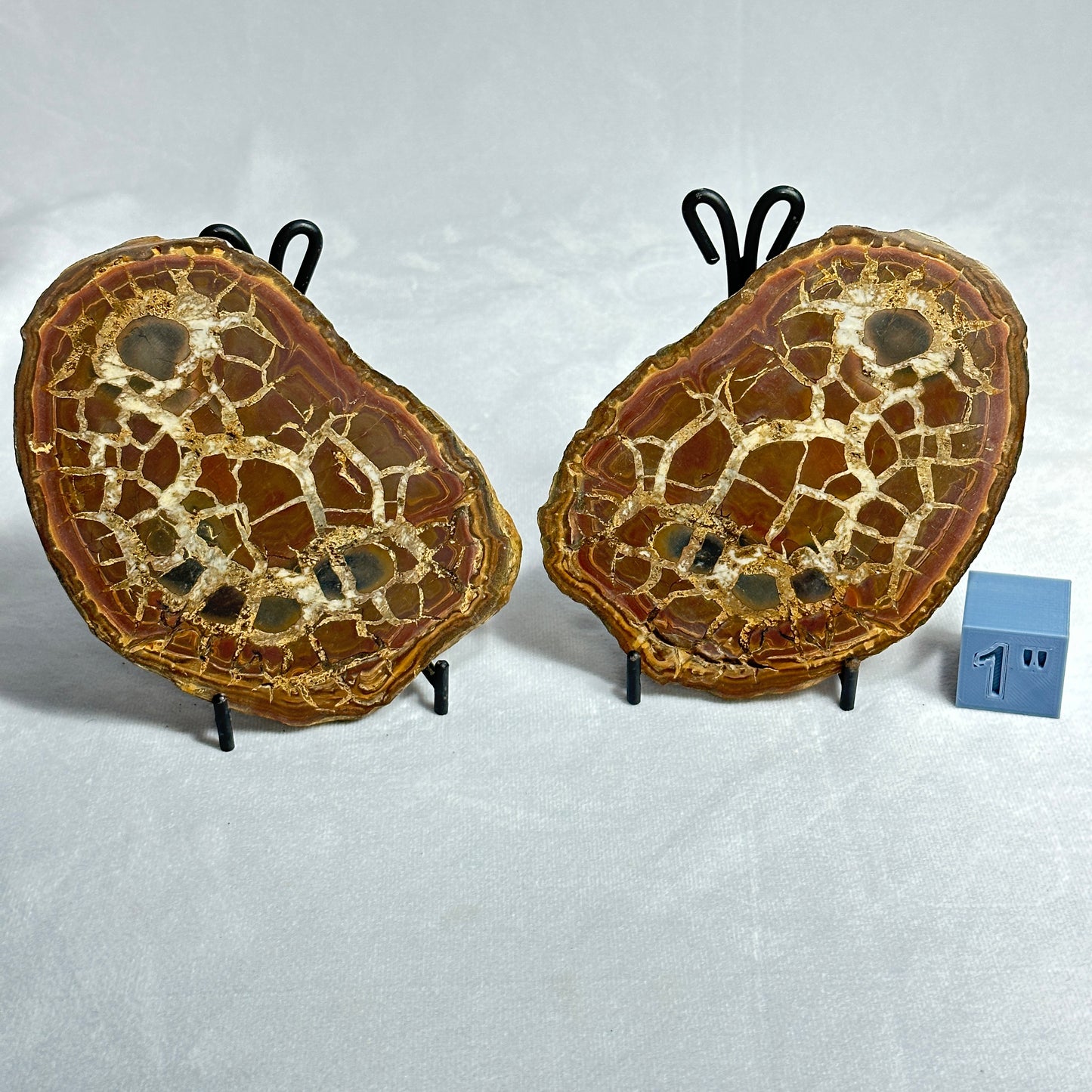 Moroccan Split Septarian Nodule