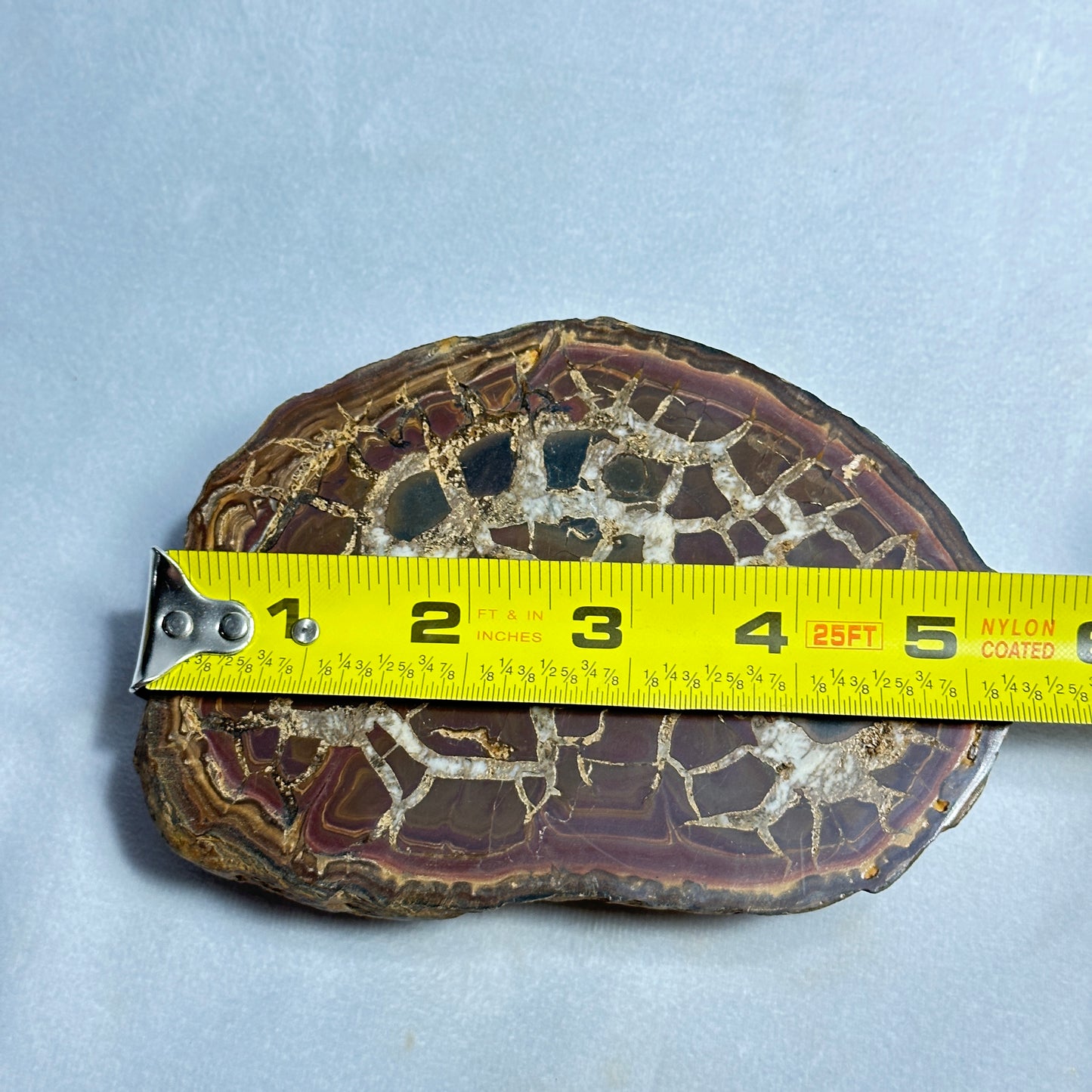 Moroccan Split Septarian Nodule