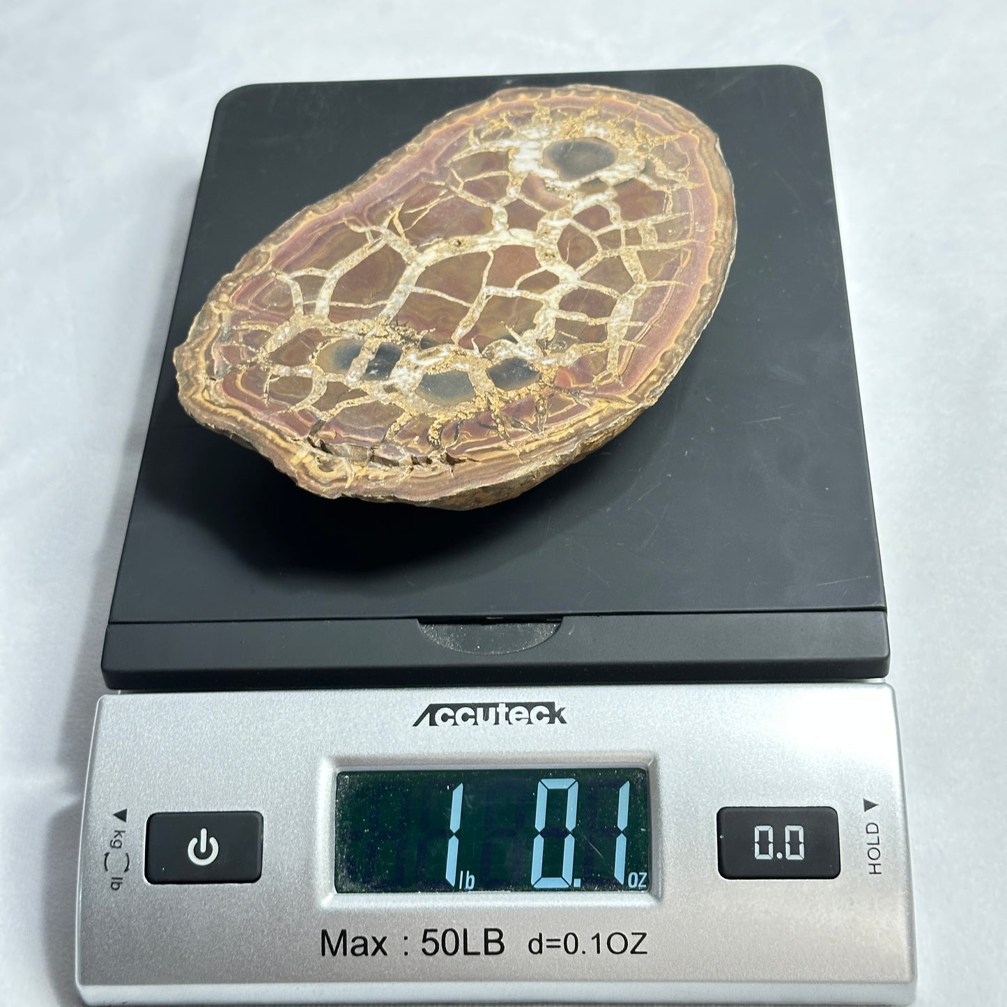 Moroccan Split Septarian Nodule
