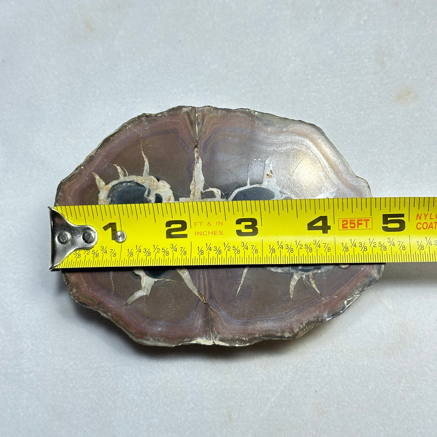 Unique Split Septarian Nodule