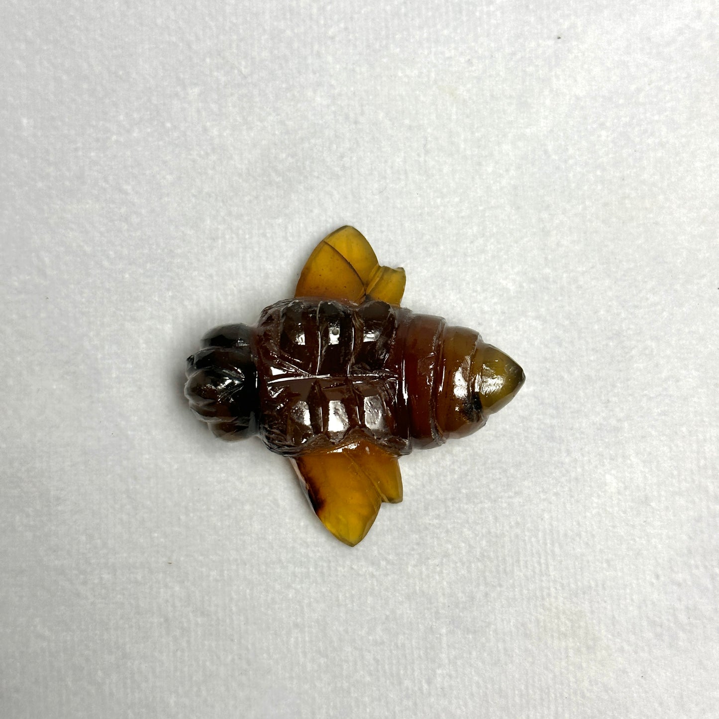 Sumatran Amber Bees