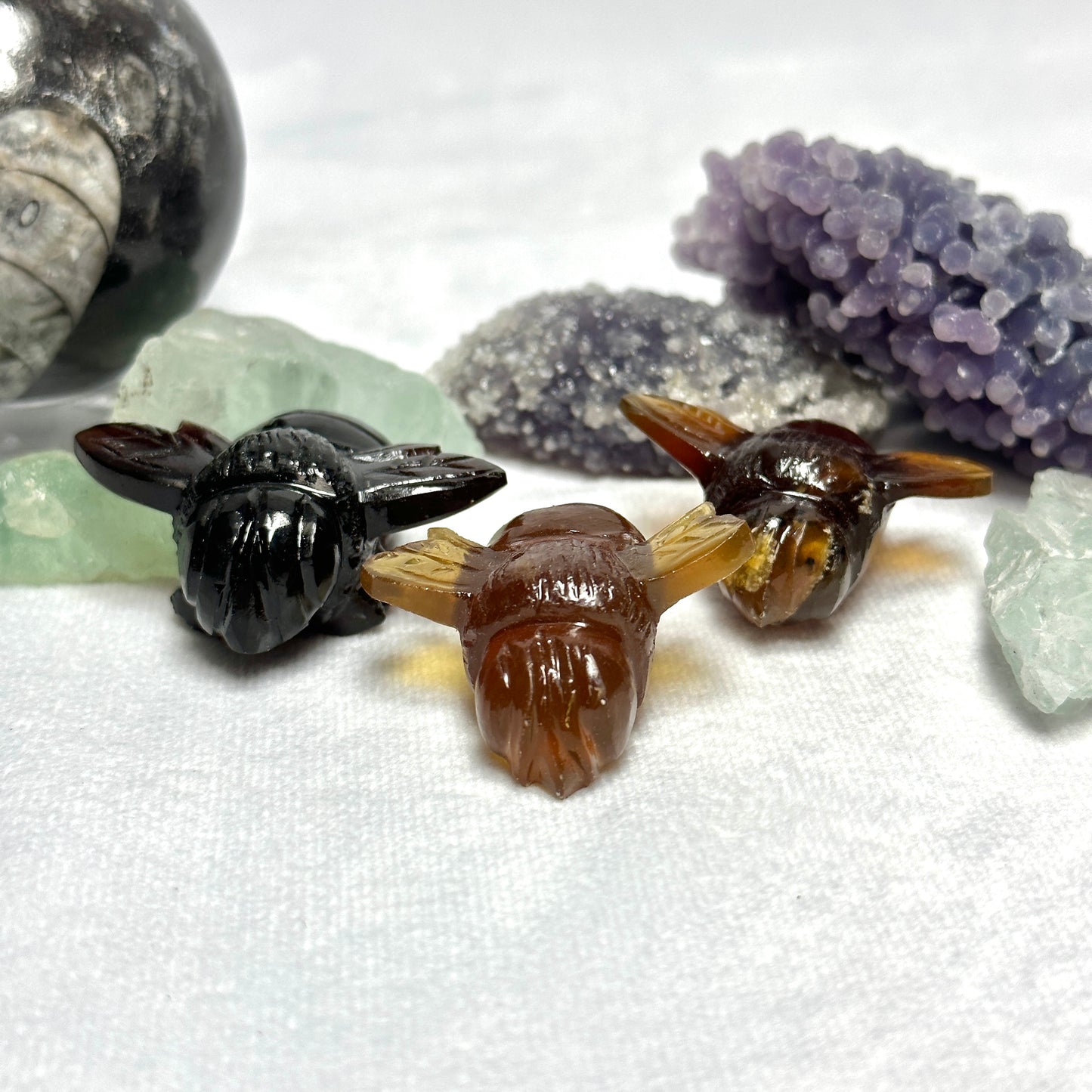 Sumatran Amber Bees