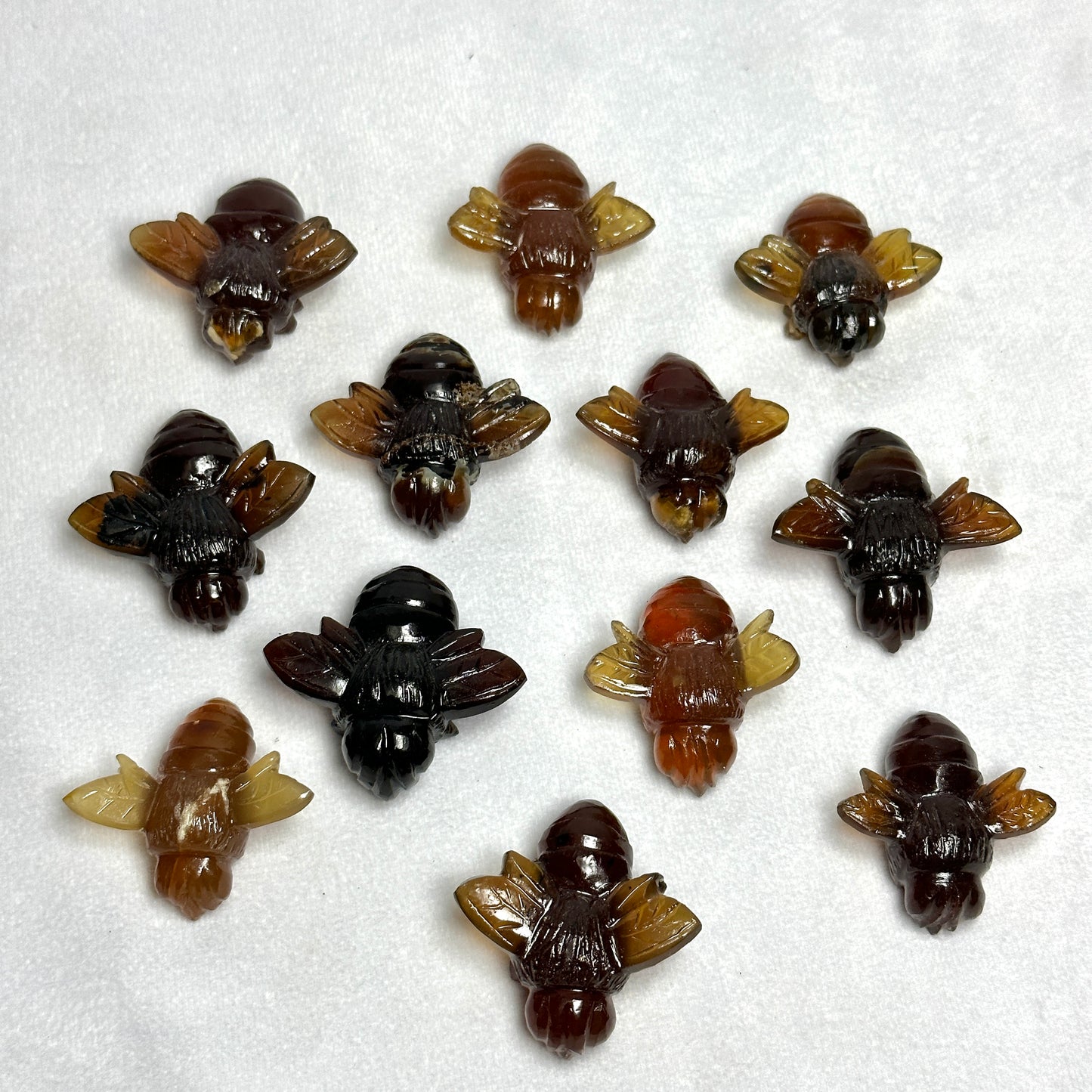 Sumatran Amber Bees