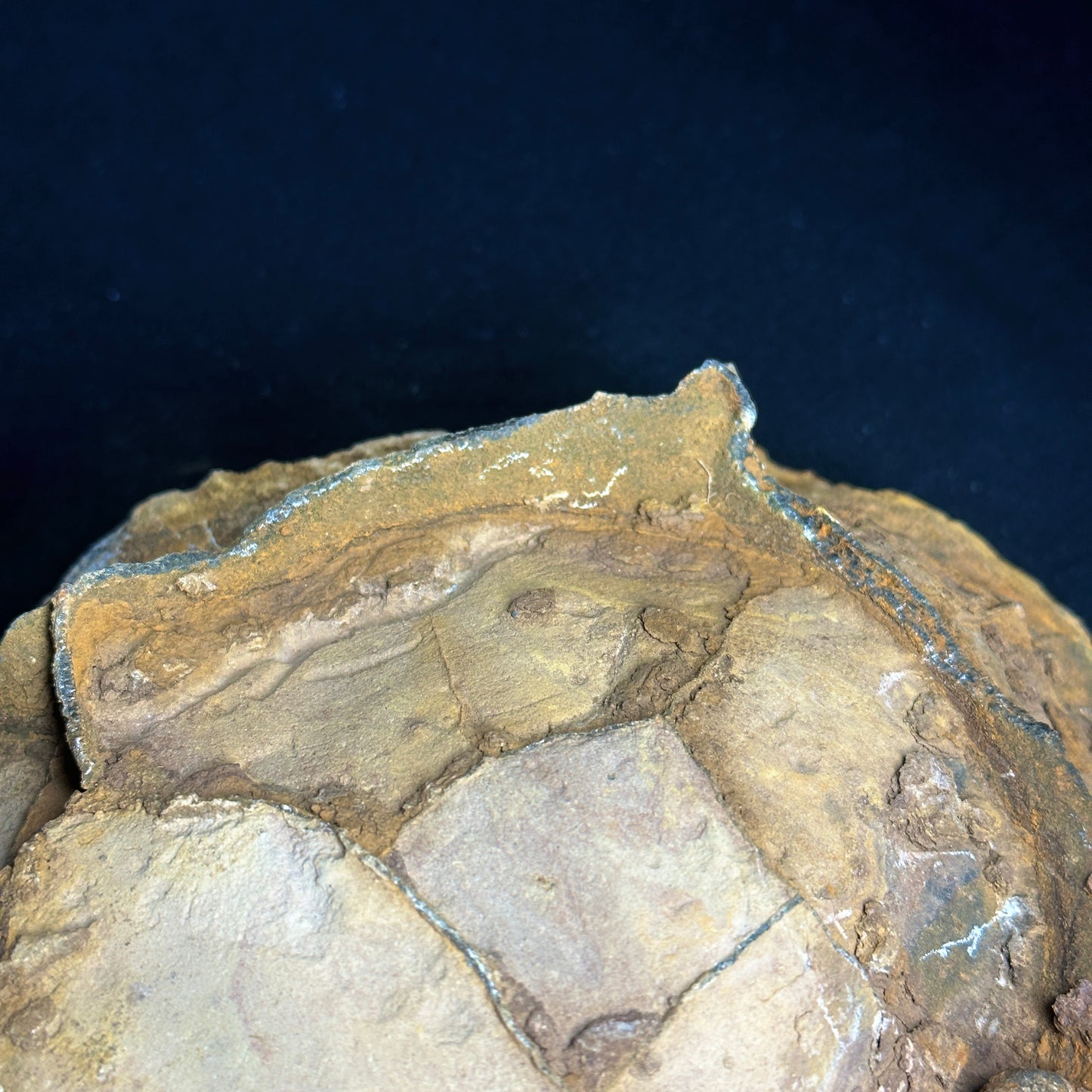 Amazing Septarian Nodule