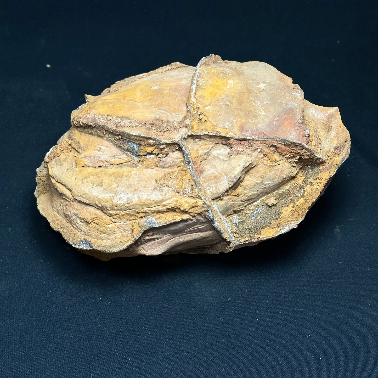 Raw Septarian Nodule