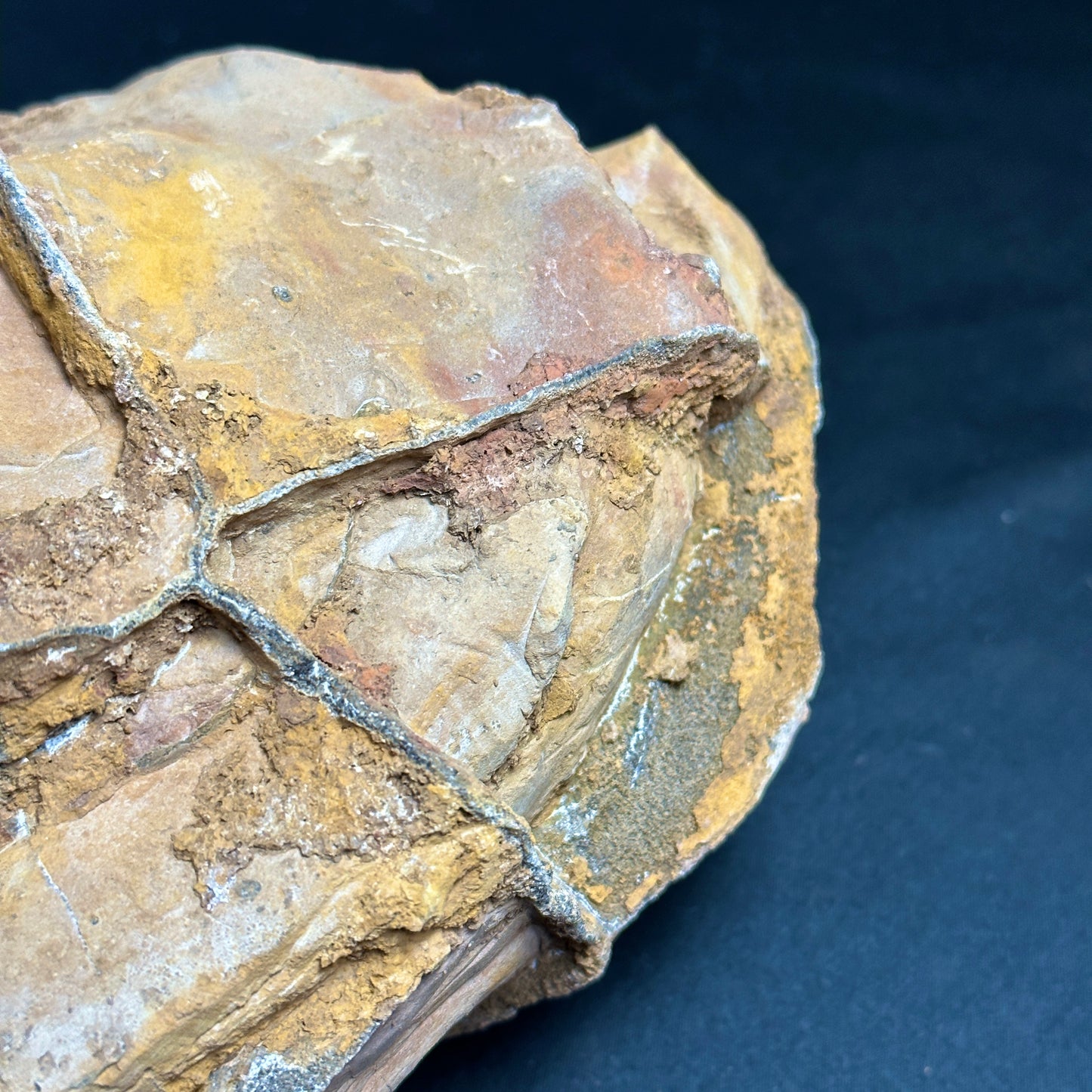 Raw Septarian Nodule
