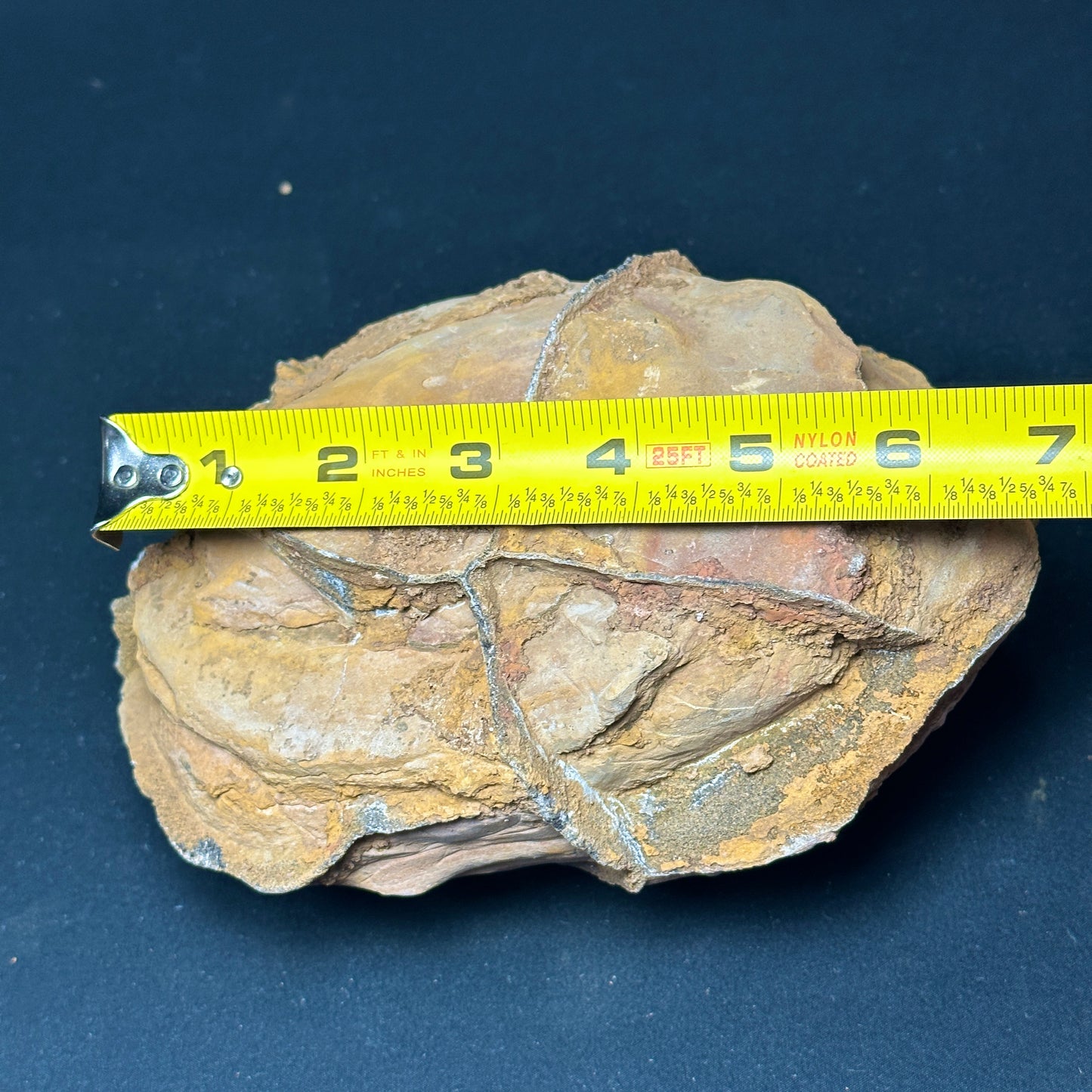 Raw Septarian Nodule