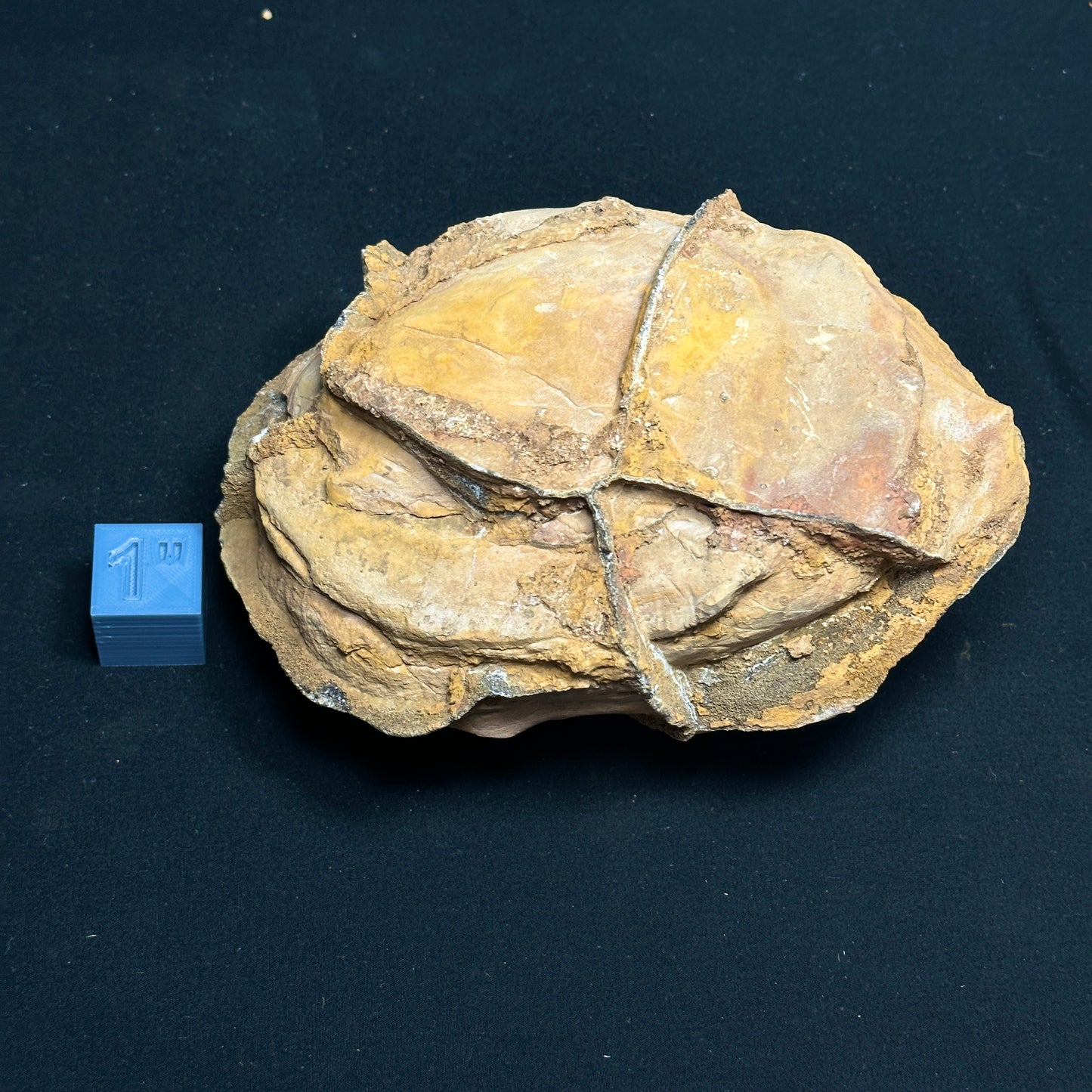 Raw Septarian Nodule