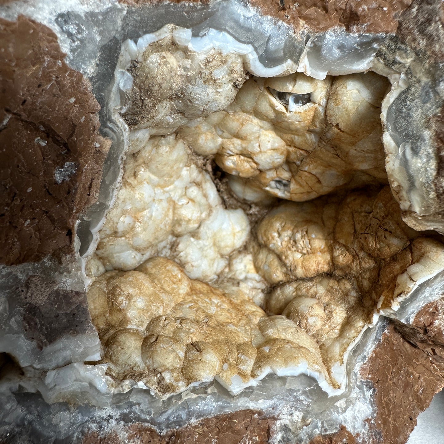 Gorgeous Glowing Thunderegg Pair