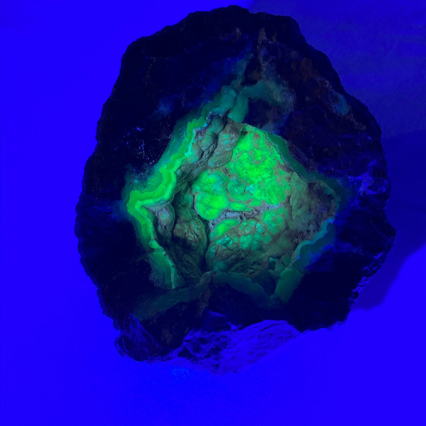 Gorgeous Glowing Thunderegg Pair