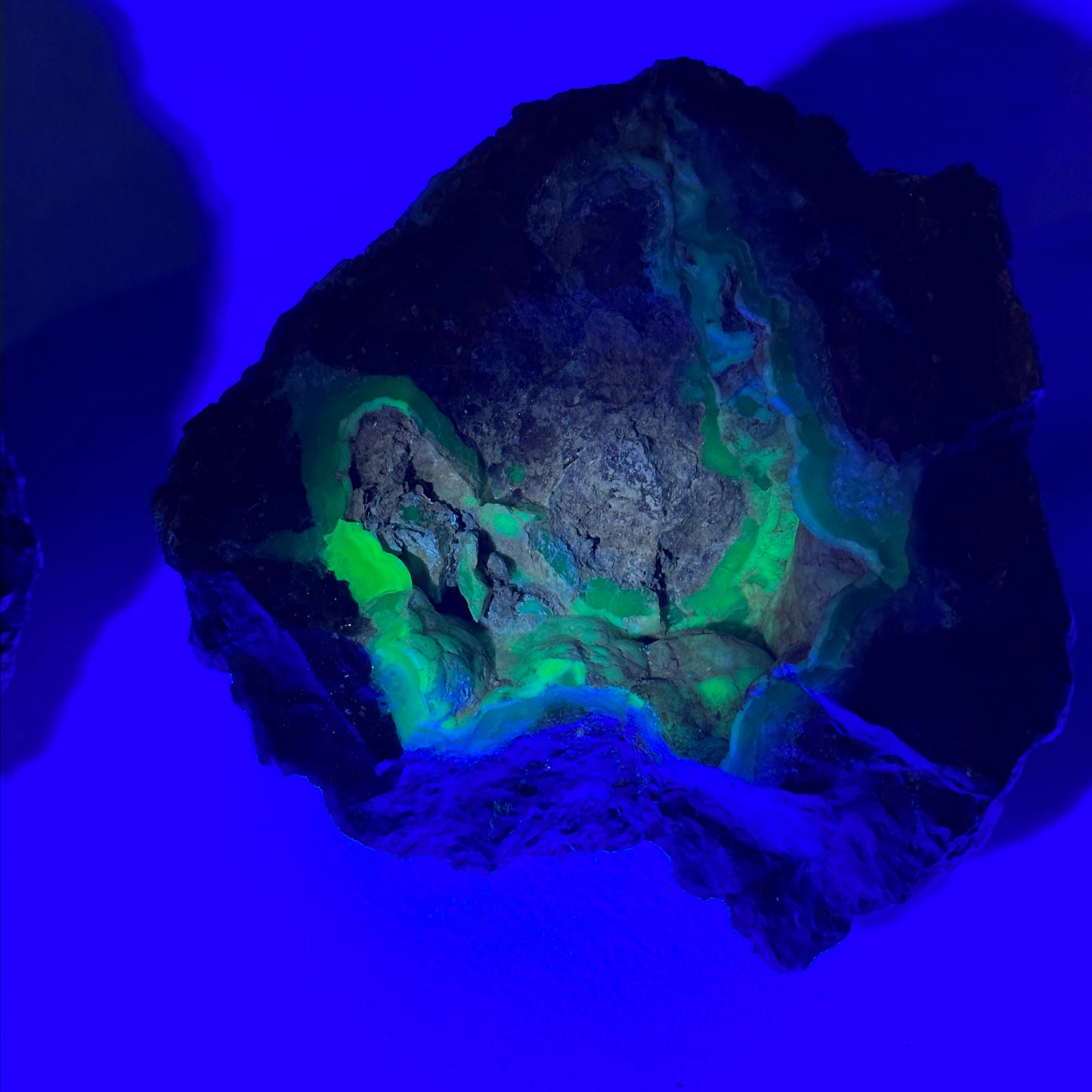 Gorgeous Glowing Thunderegg Pair
