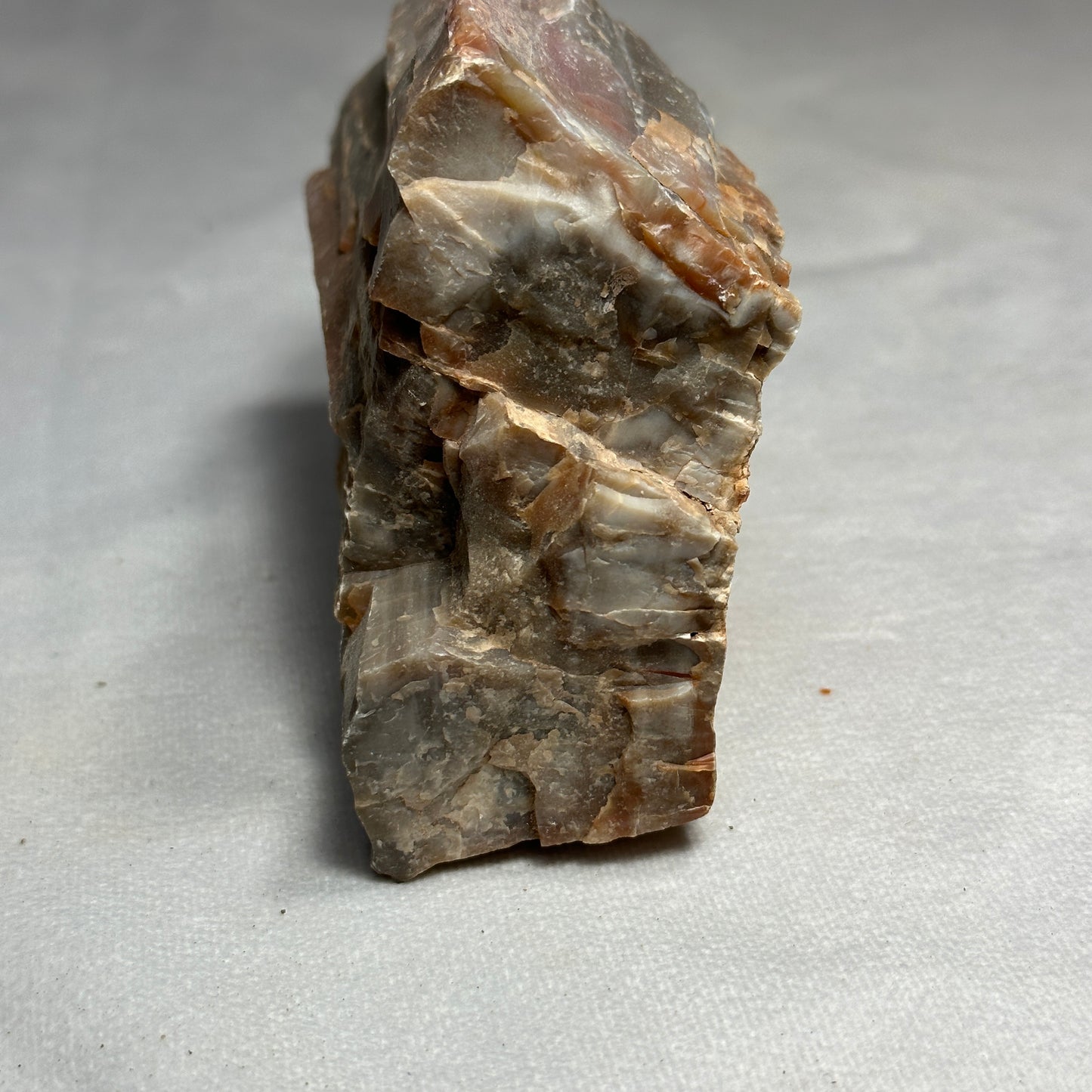 Amazing Arizona Petrified Wood