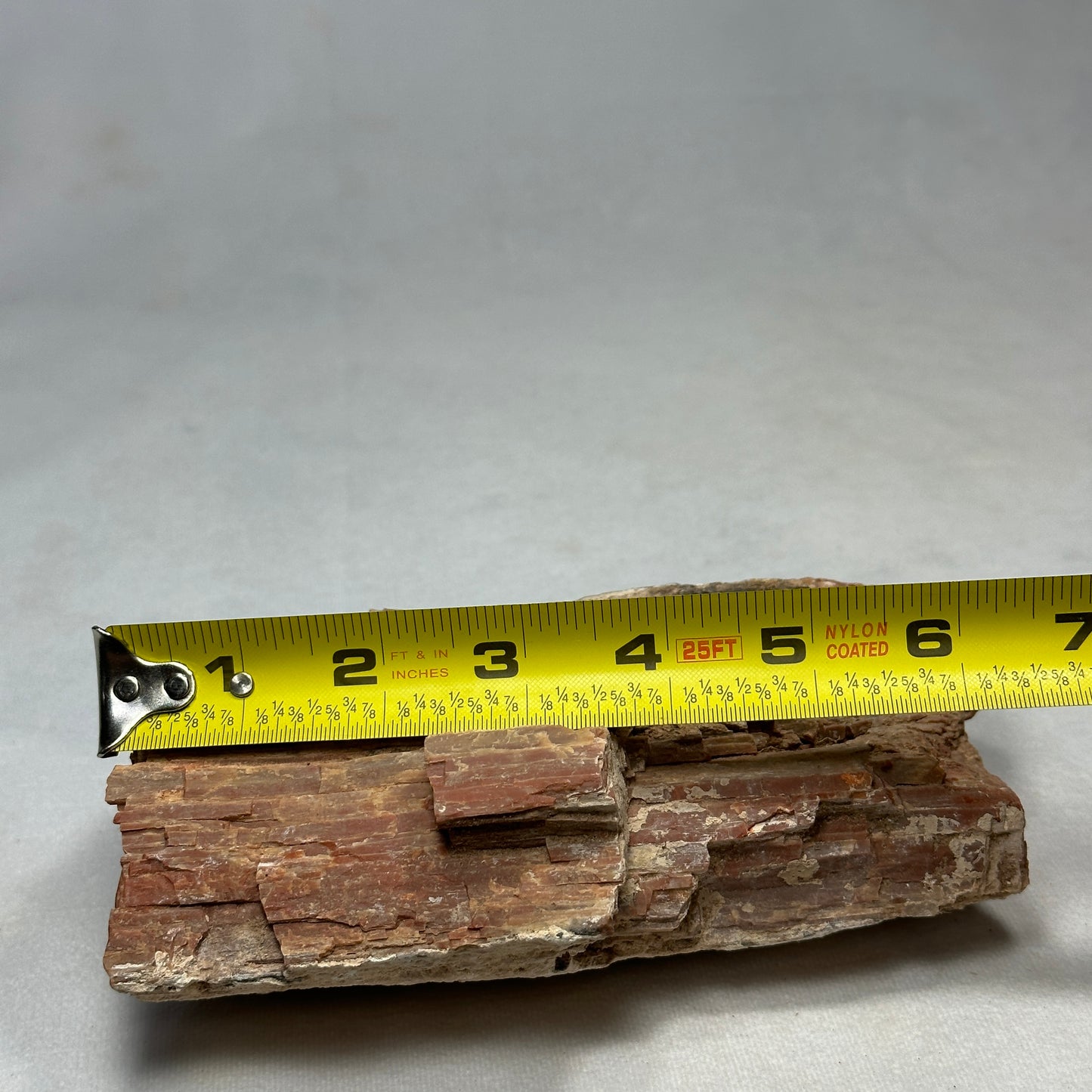Raw Arizona Petrified Wood