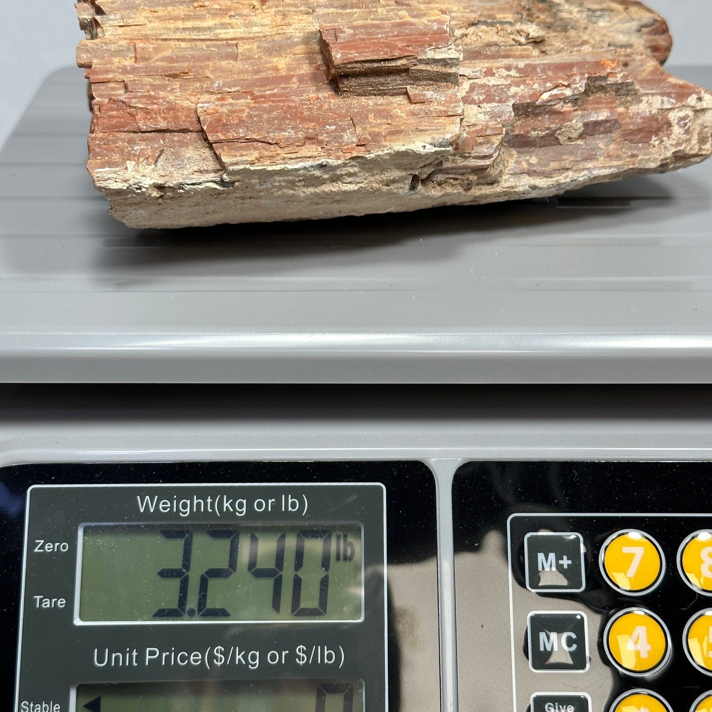 Raw Arizona Petrified Wood