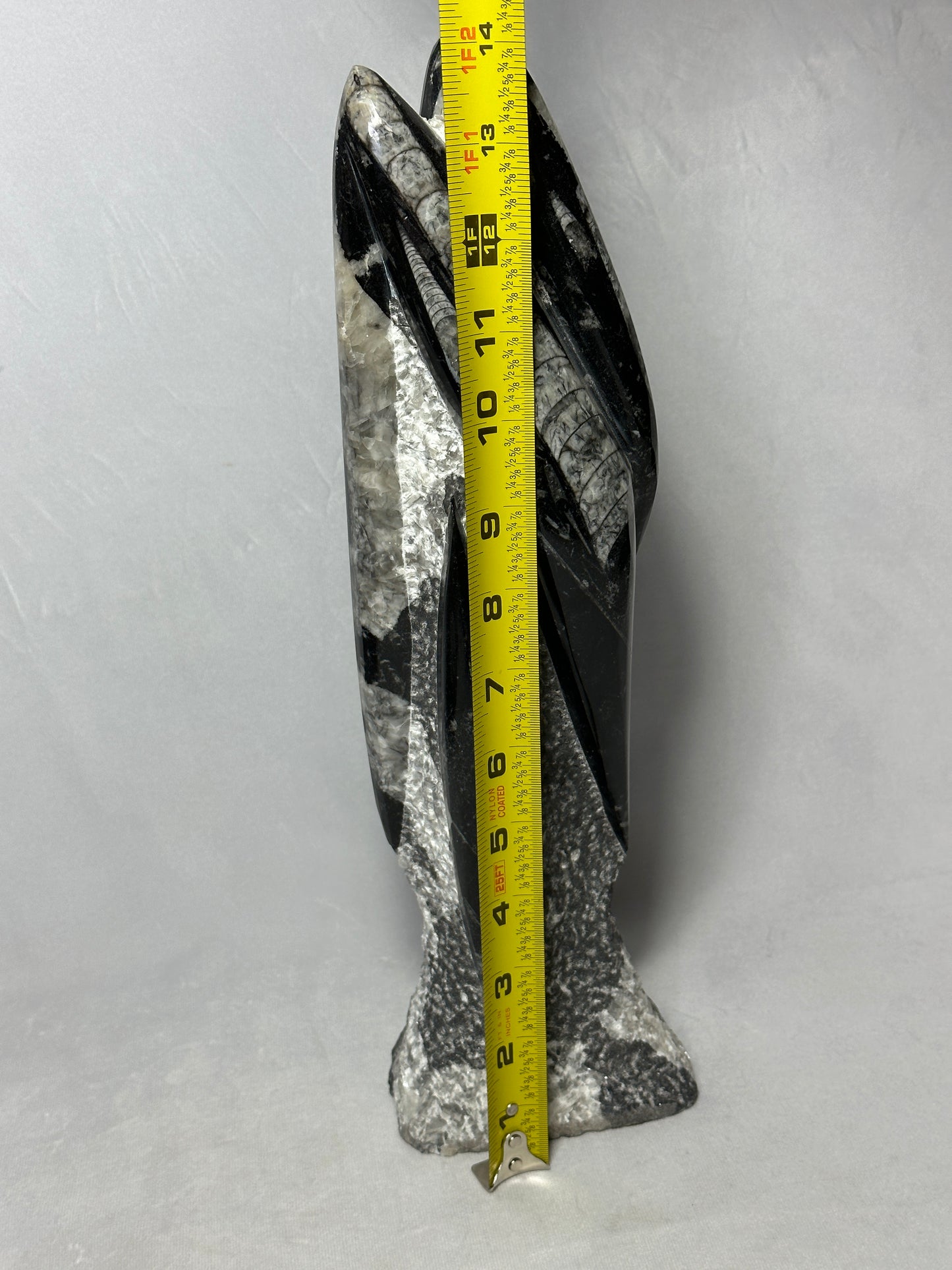 Orthoceras Tower Display Piece