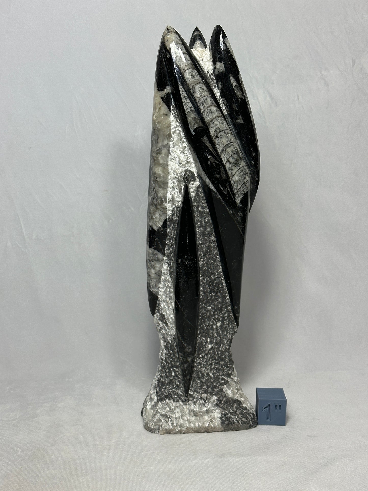 Orthoceras Tower Display Piece