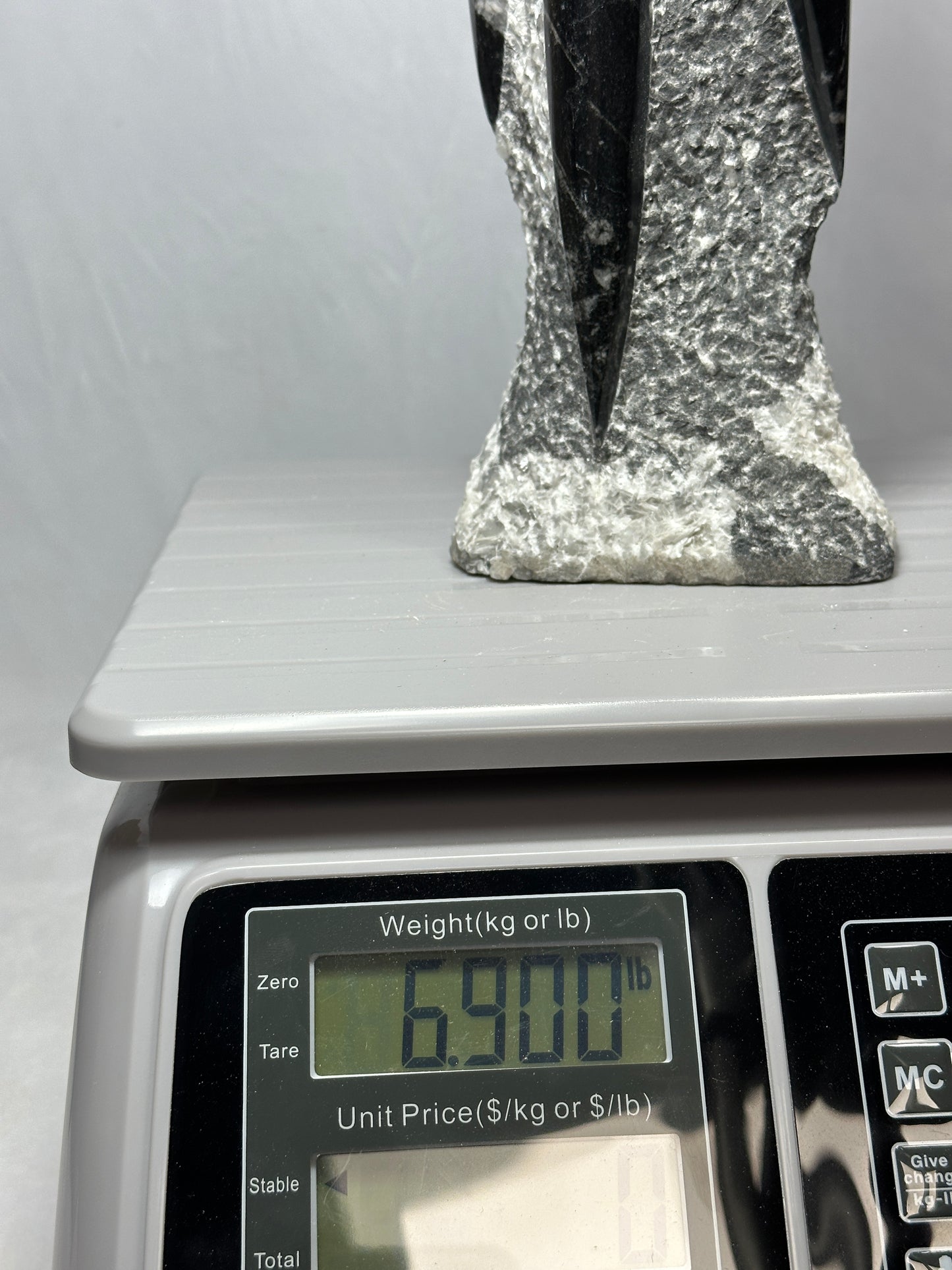 Orthoceras Tower Display Piece