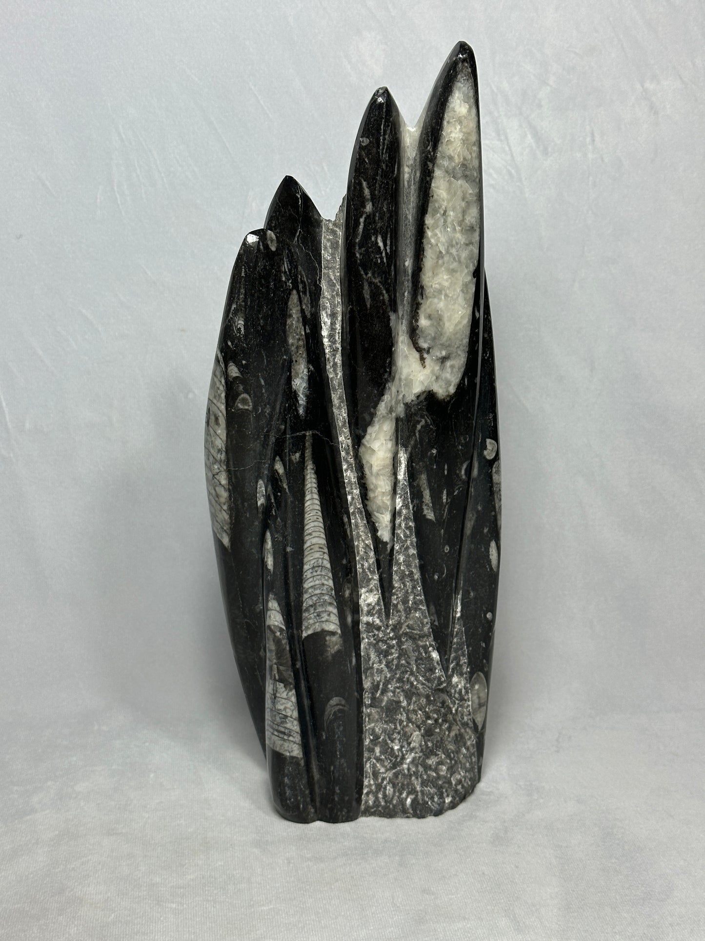 Detailed Orthoceras Tower