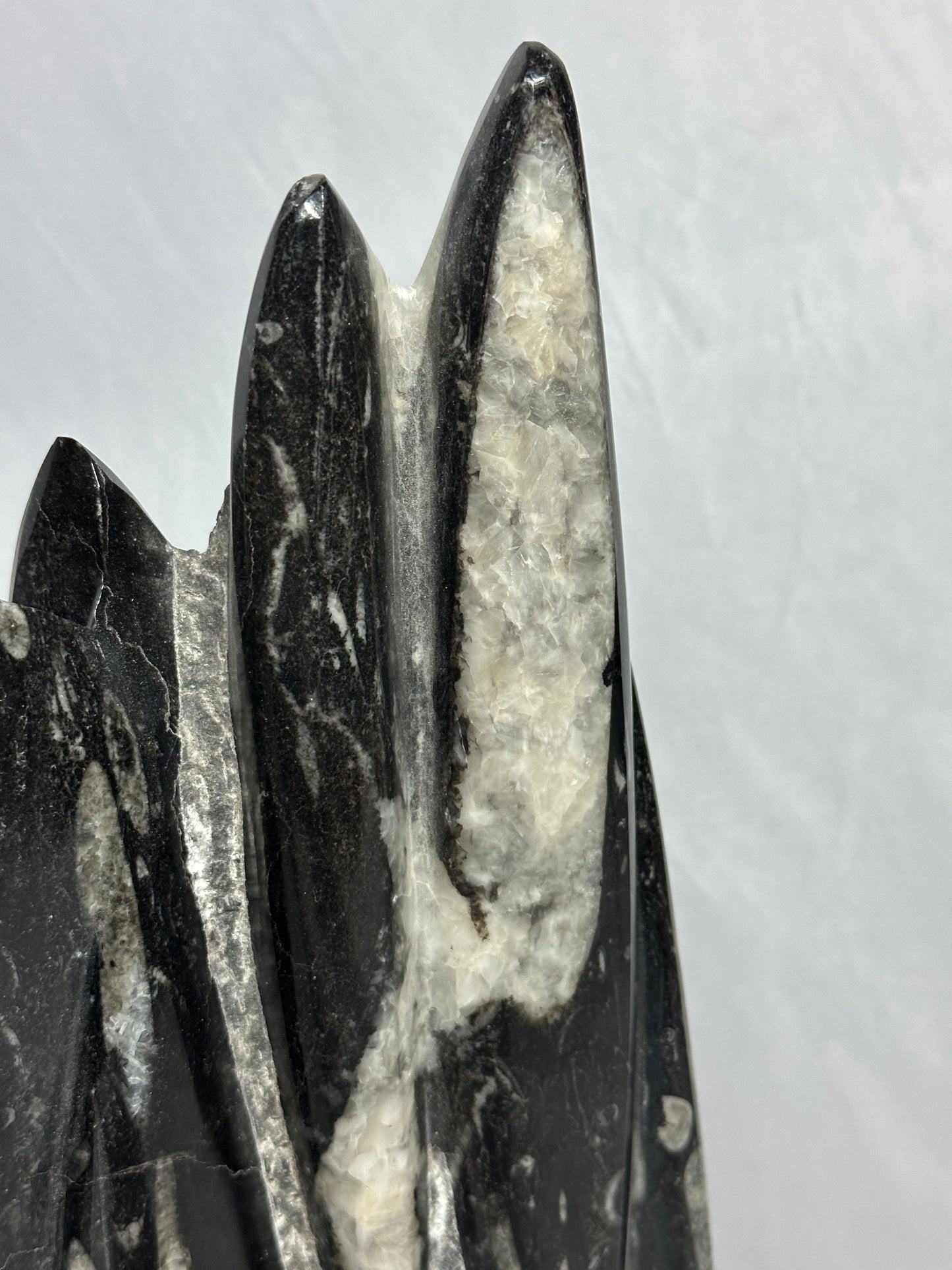 Detailed Orthoceras Tower