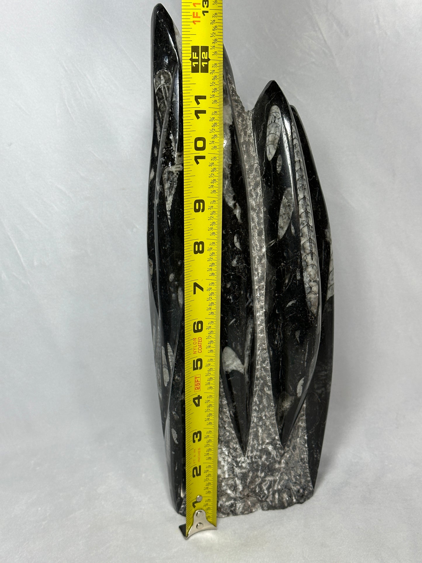 Detailed Orthoceras Tower