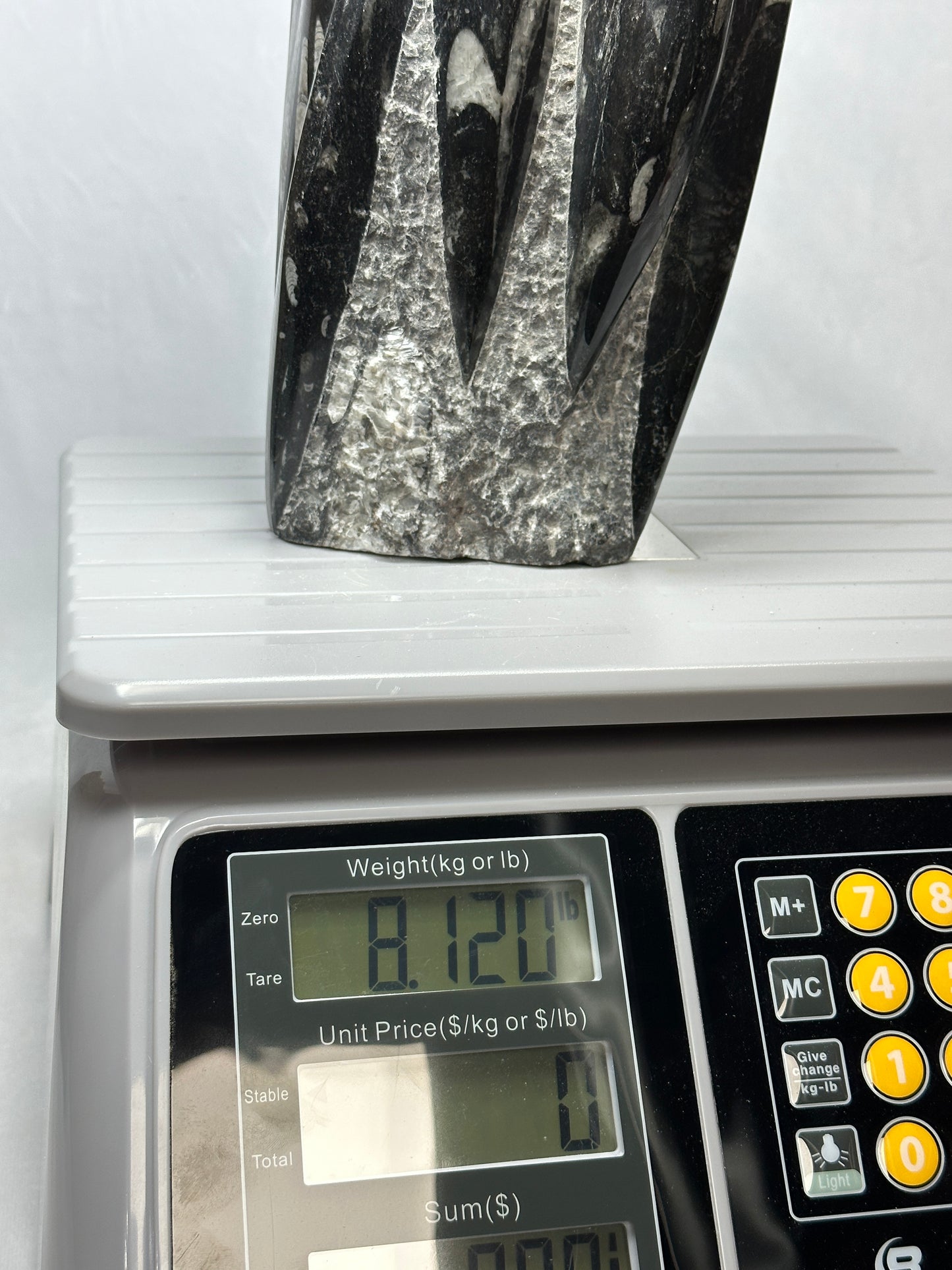 Detailed Orthoceras Tower