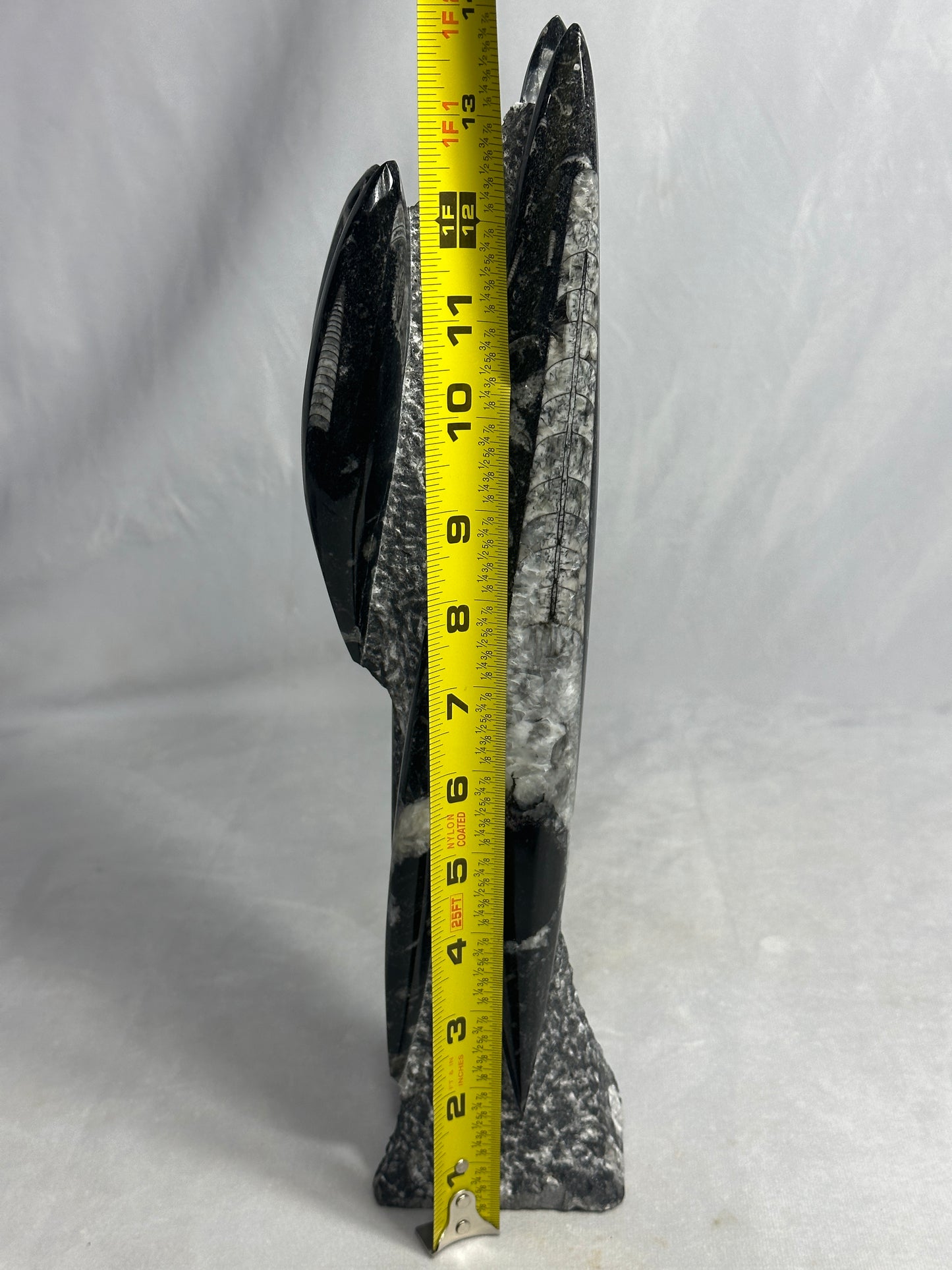 Tall Orthoceras Tower