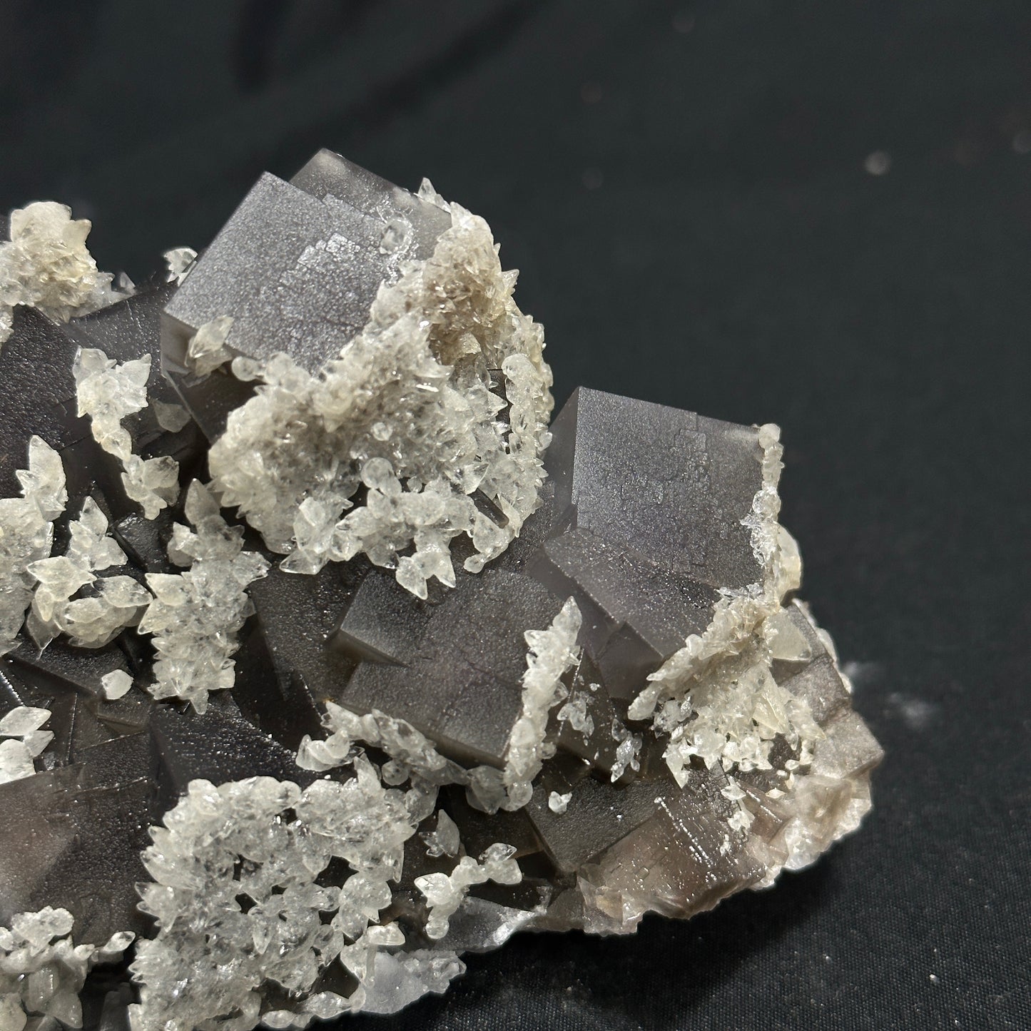 Beautiful Cluster of Dogtooth and Fluorite