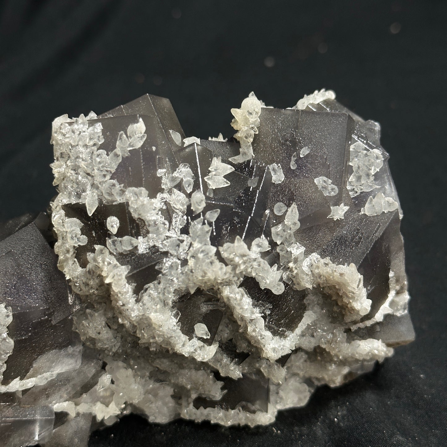 Beautiful Cluster of Dogtooth and Fluorite