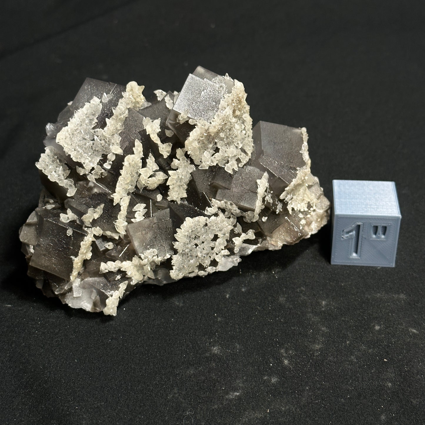 Beautiful Cluster of Dogtooth and Fluorite
