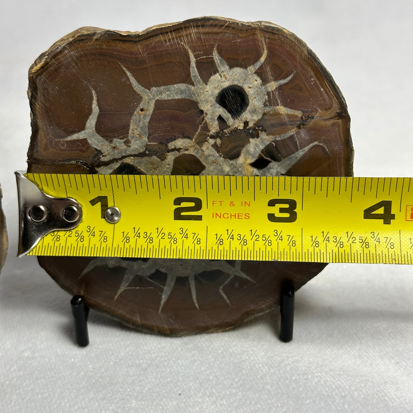 Gorgeous Split Septarian Nodule