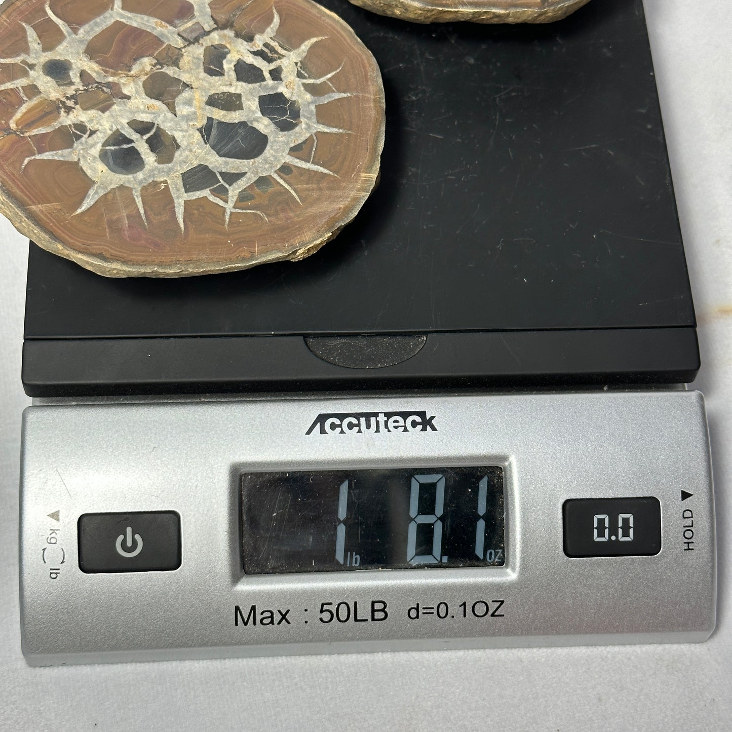 Gorgeous Split Septarian Nodule