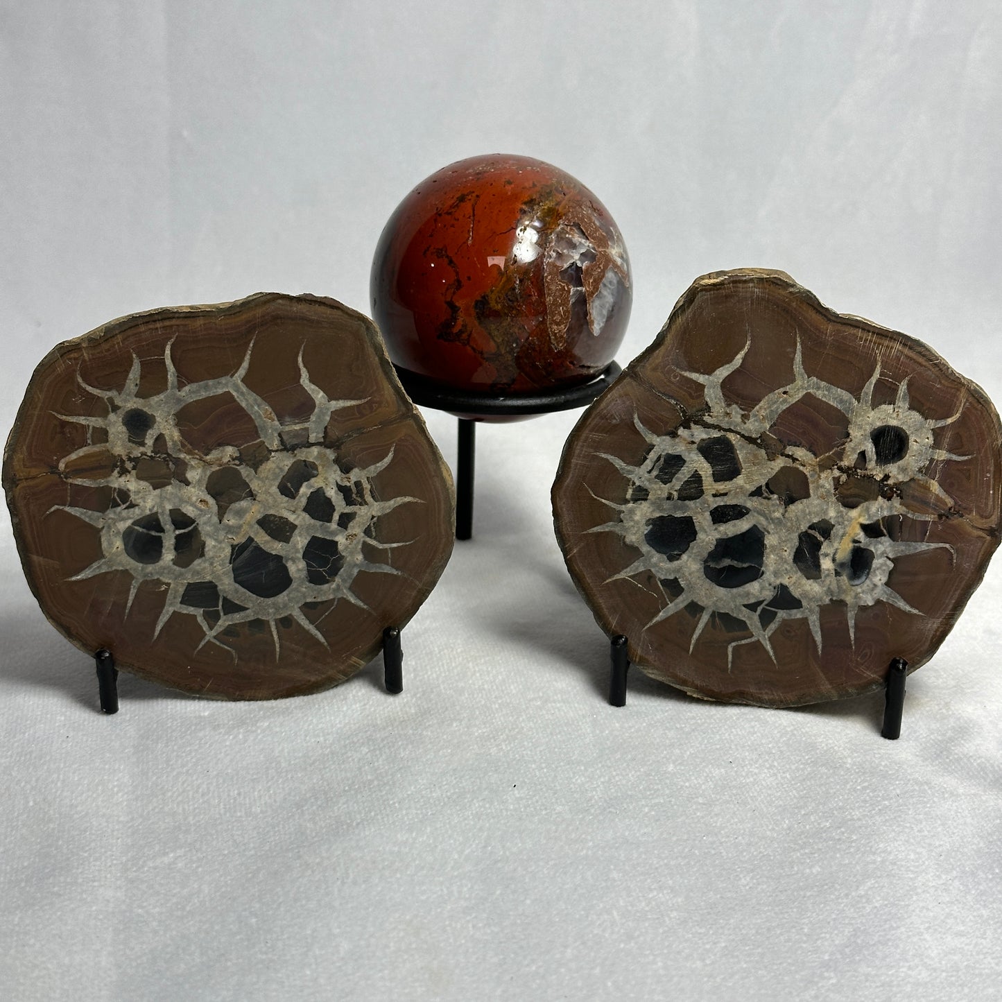 Gorgeous Split Septarian Nodule