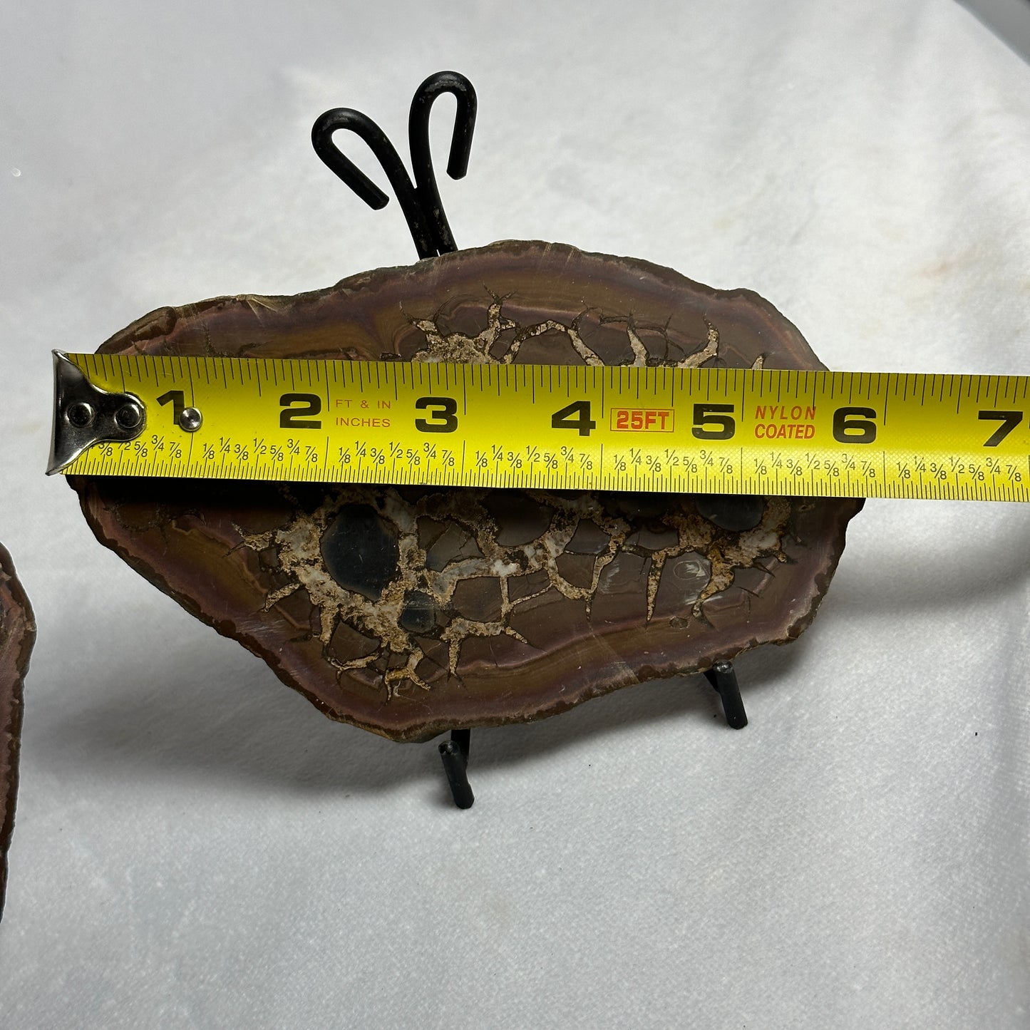 Lovely Split Septarian Nodule