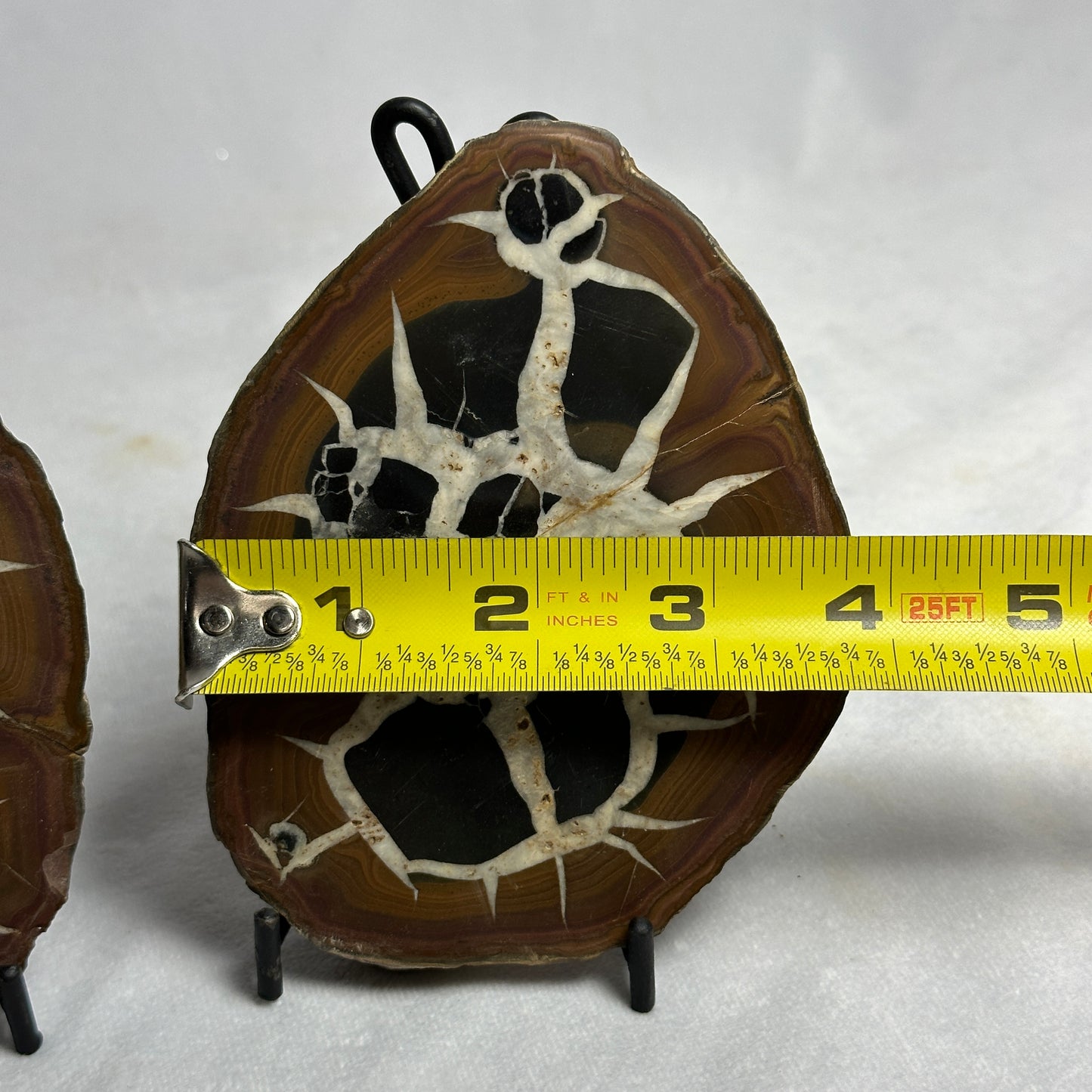 Fascinating Split Septarian Nodule