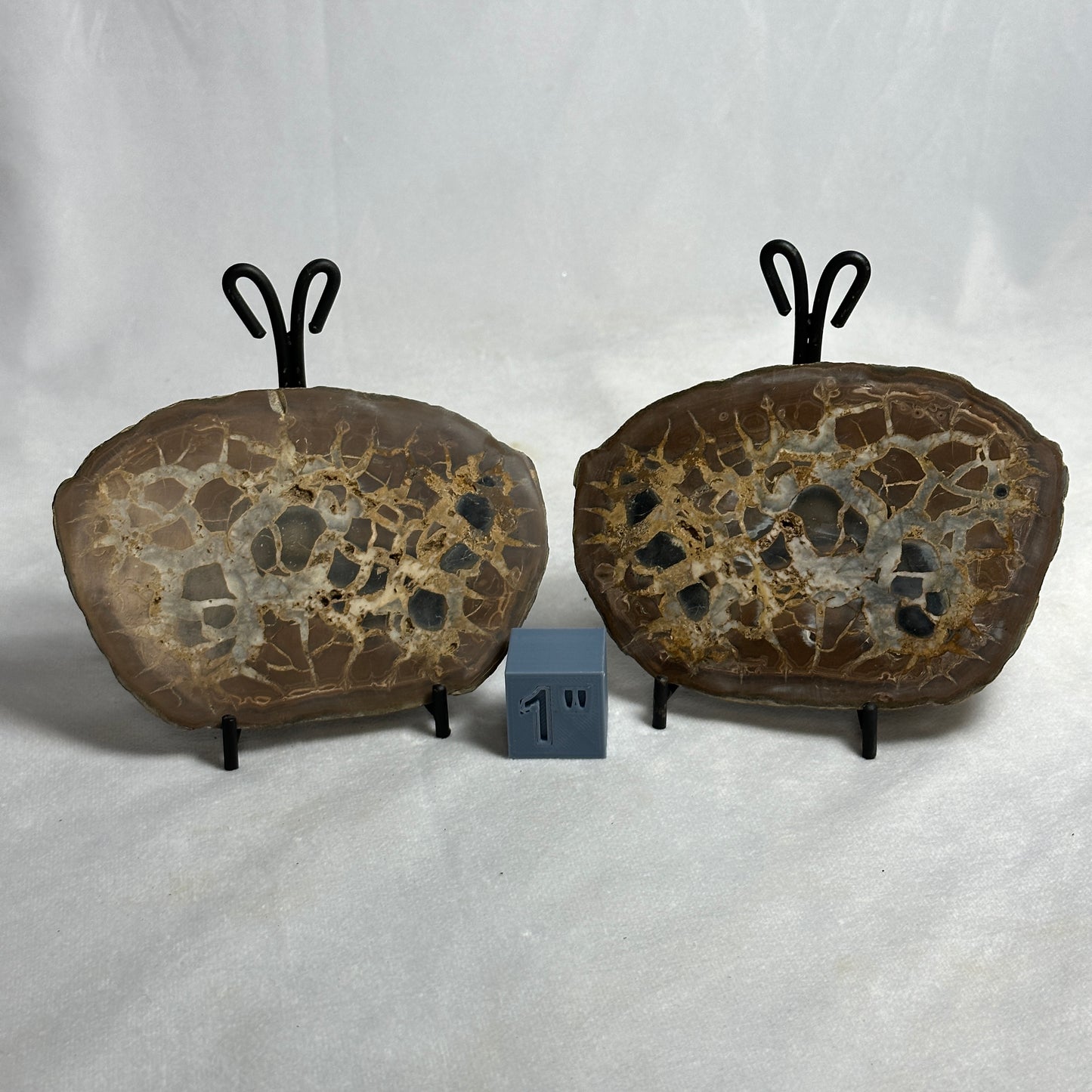 Marvelous Split Septarian Nodule