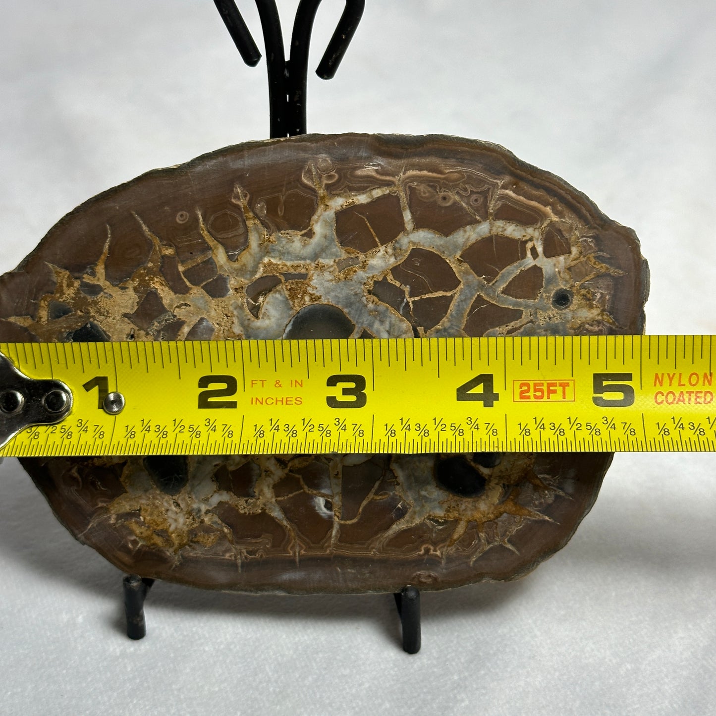 Marvelous Split Septarian Nodule