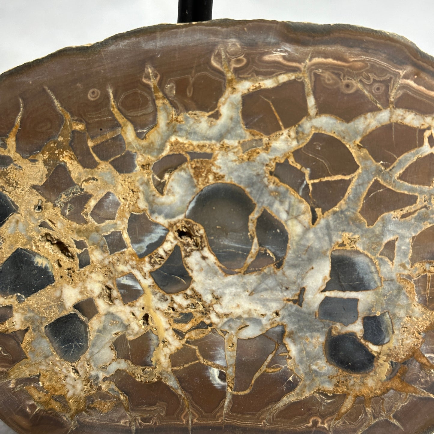 Marvelous Split Septarian Nodule