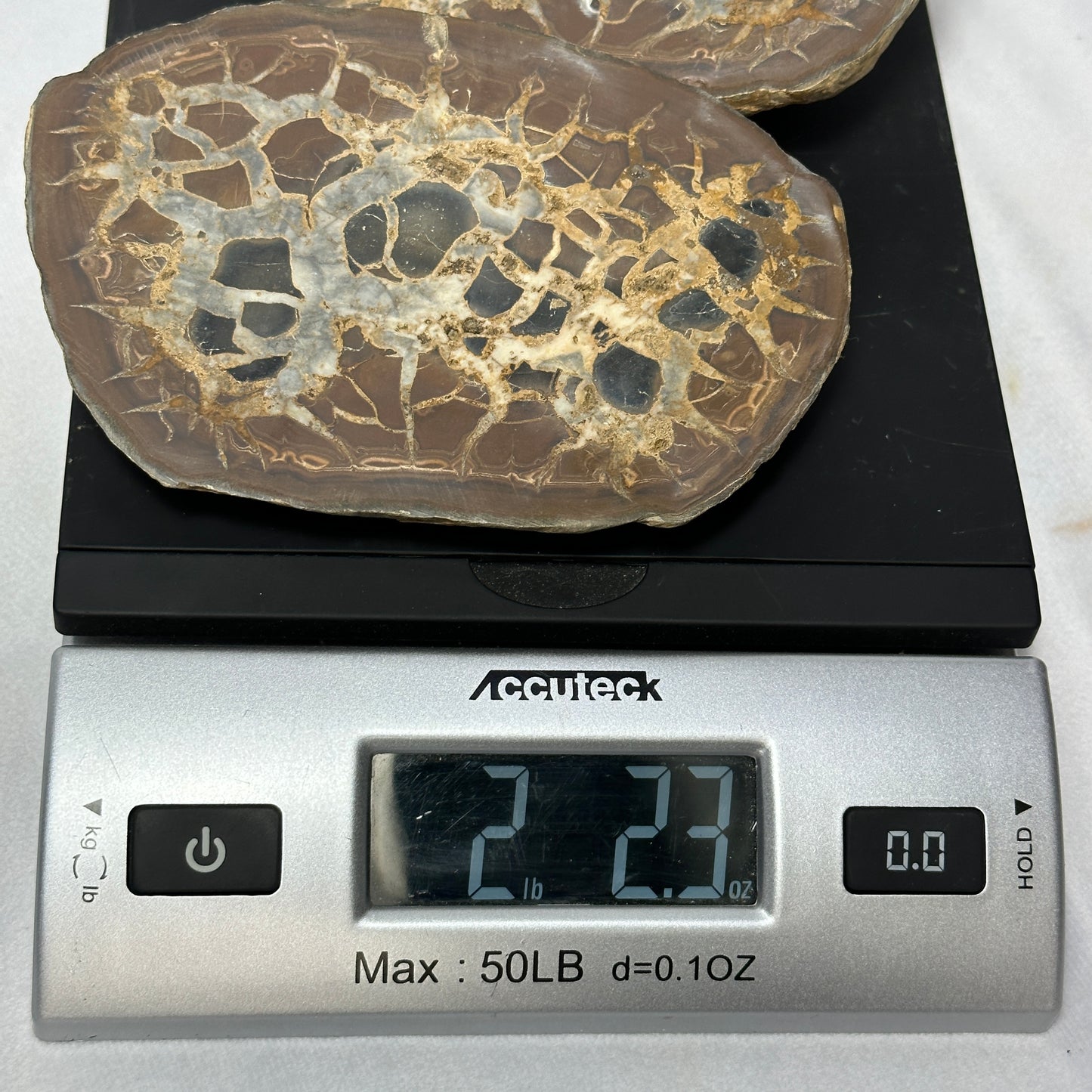 Marvelous Split Septarian Nodule