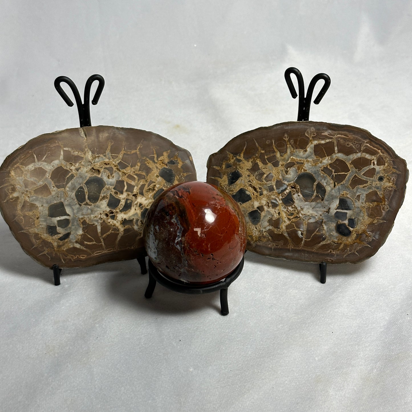 Marvelous Split Septarian Nodule