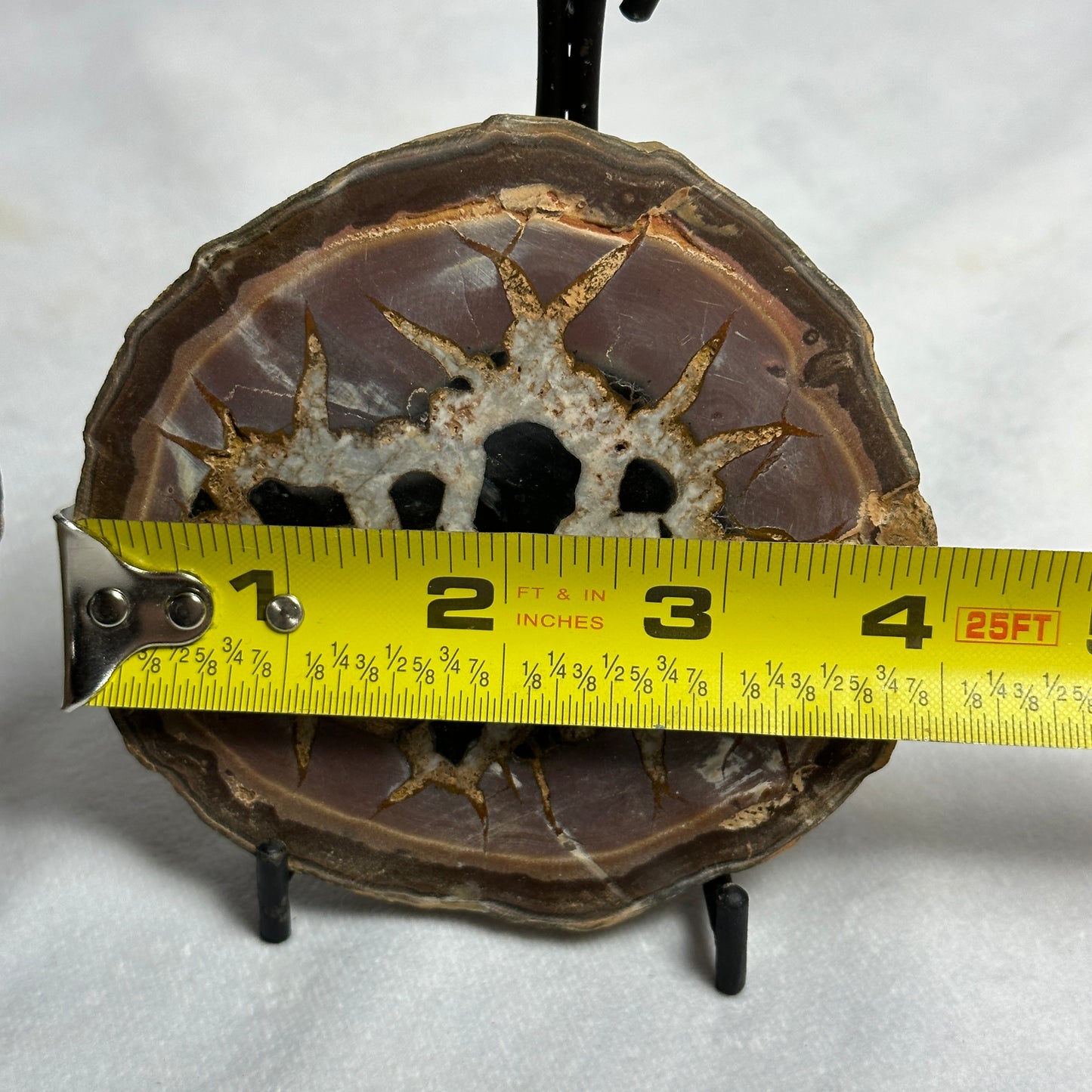 Distinct Split Septarian Nodule