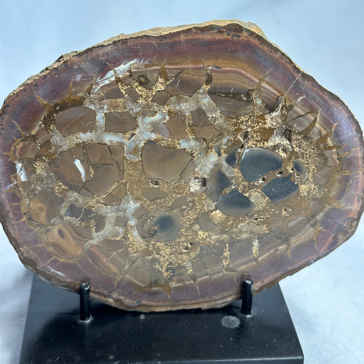 Spectacular Split Septarian Pair